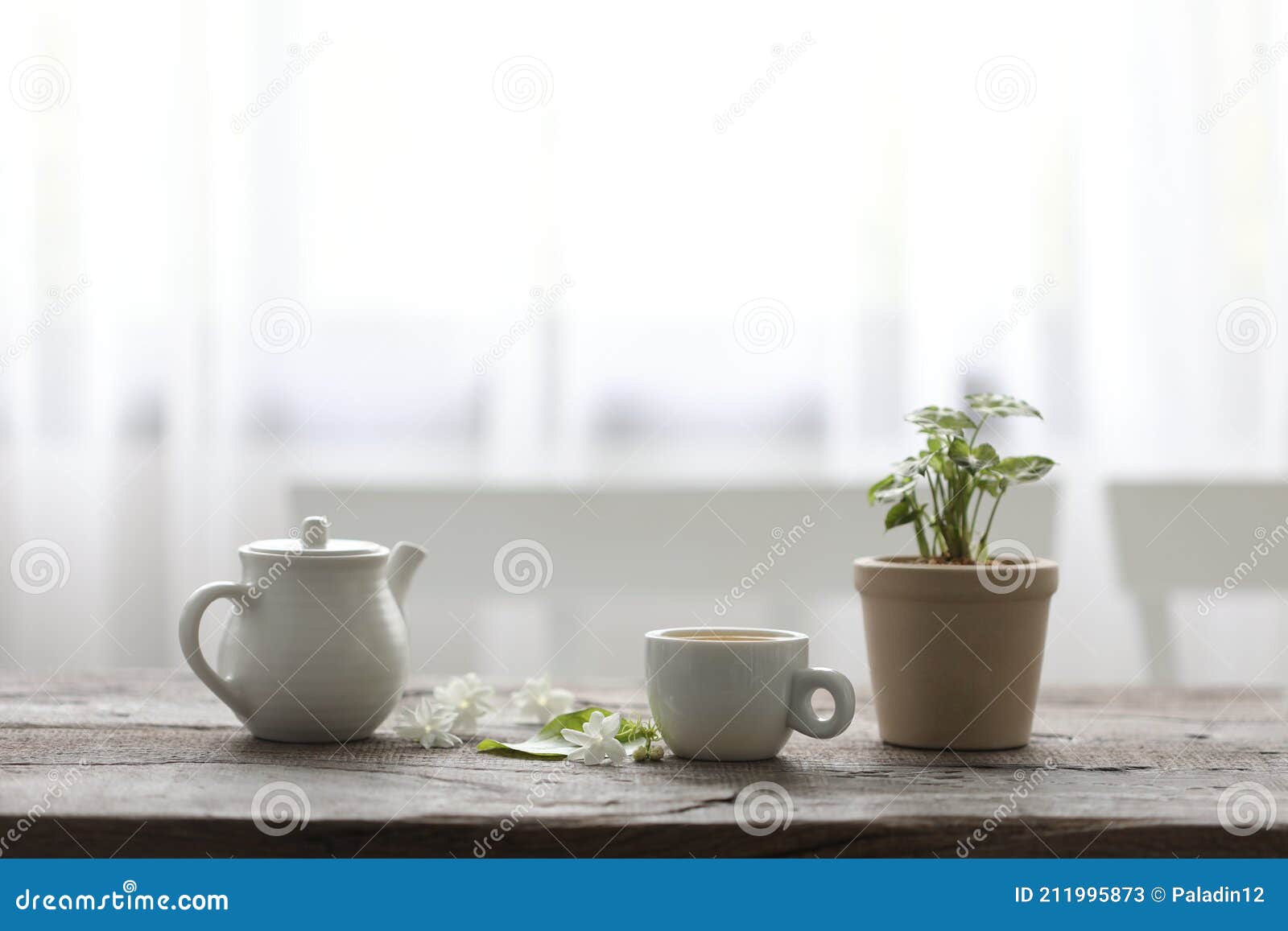 White Tea Cup and Tea Pot with Plant on Wooden Table Minimal Interior