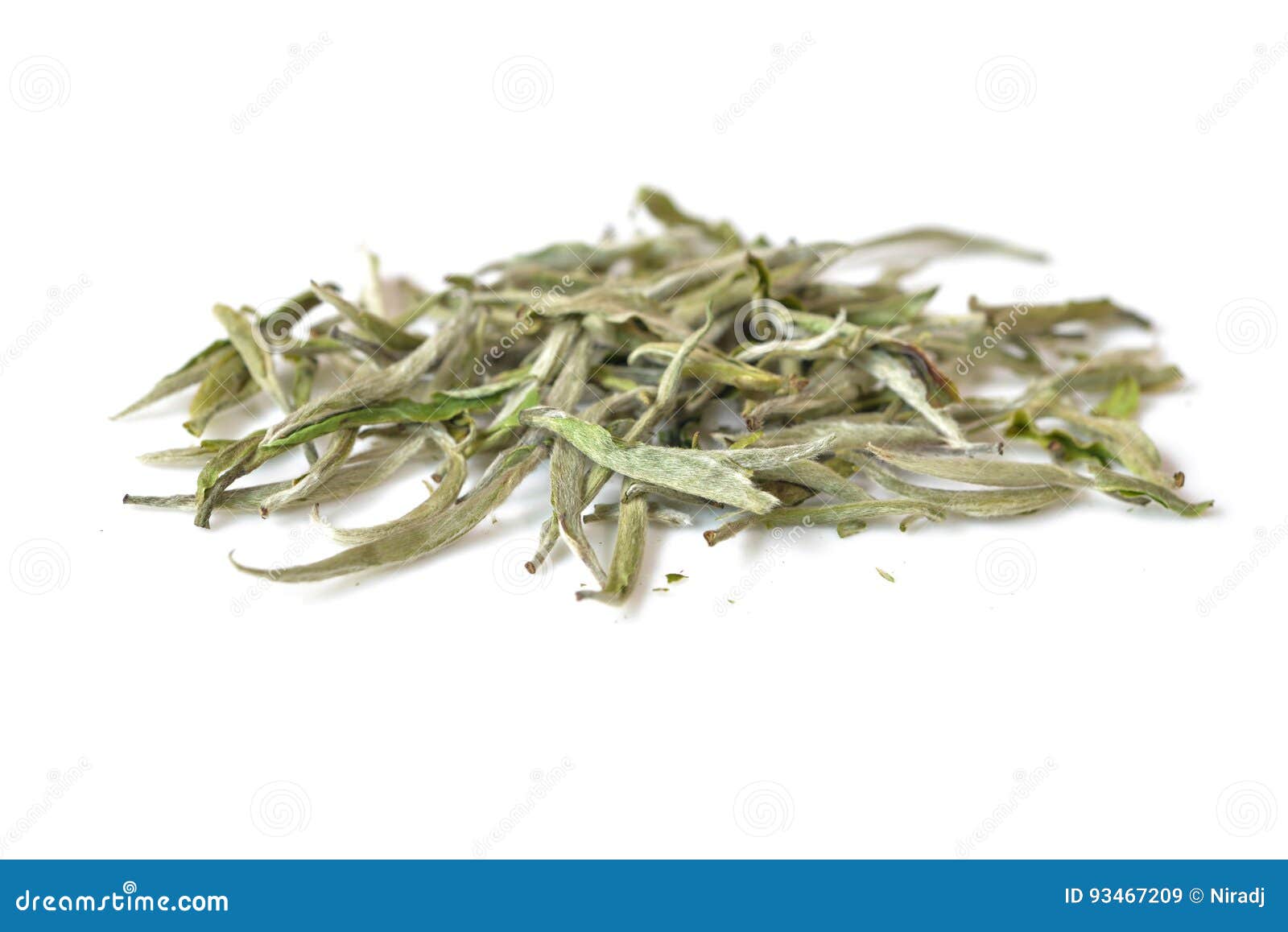 White tea leaf stock image. Image of asian, nature, fresh 93467209