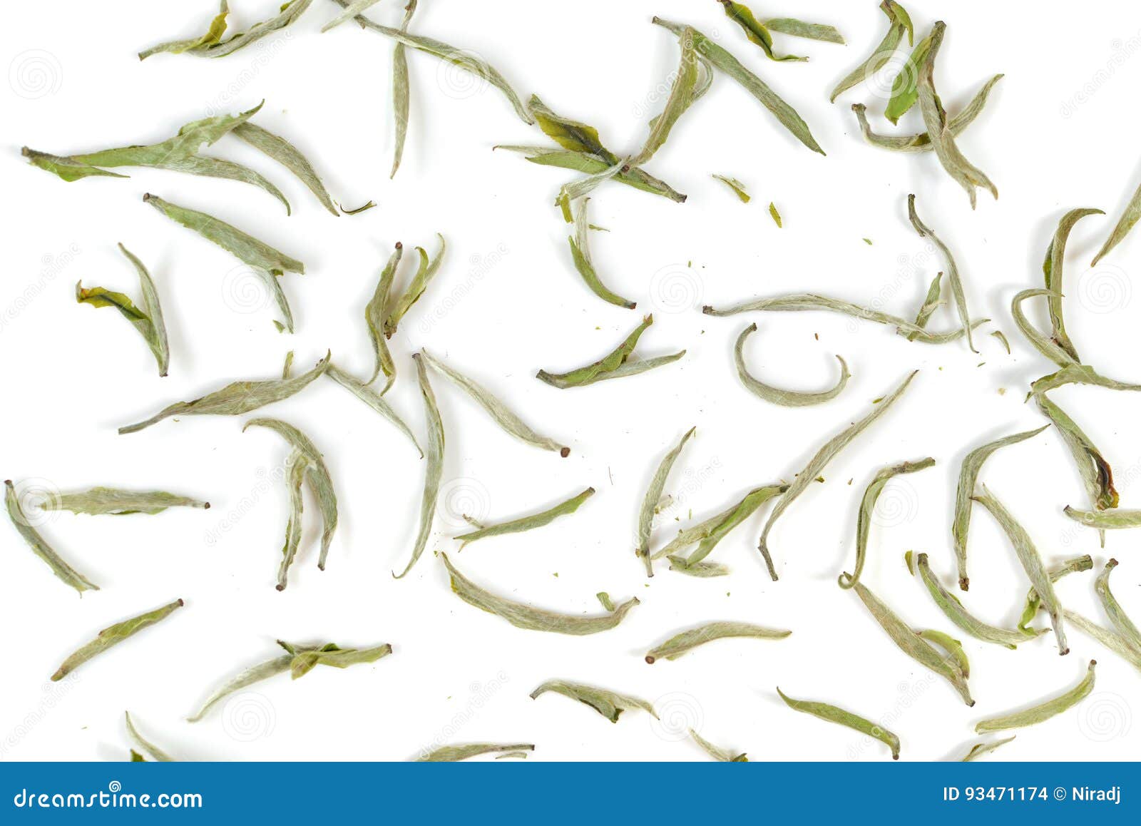 White tea leaf stock photo. Image of quality, close, background 93471174