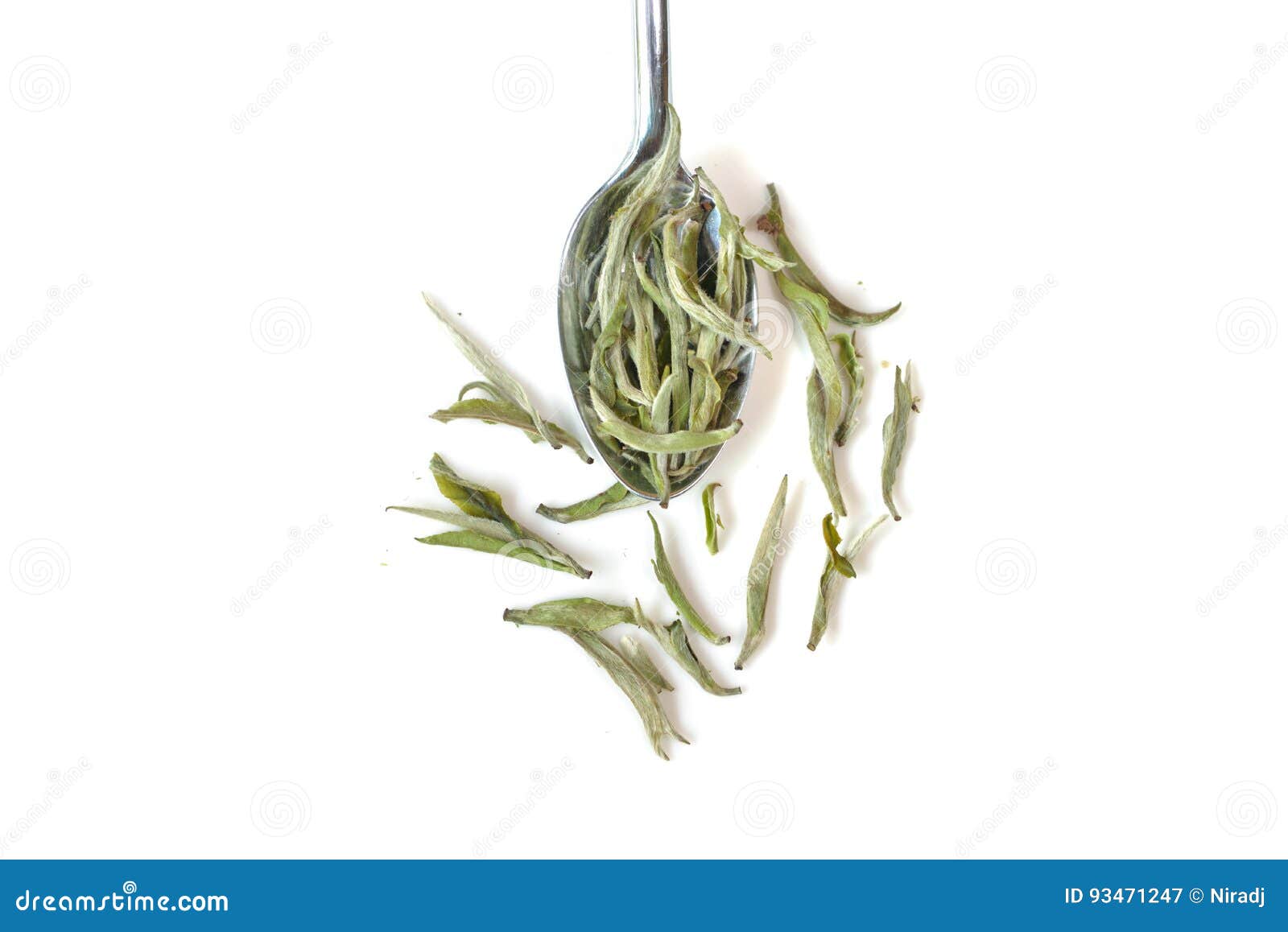 White tea leaf stock image. Image of close, flavour, plant 93471247