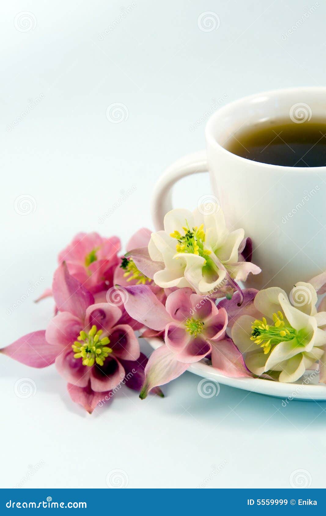 White teacup with tea stock image. Image of isolated, still 5559999