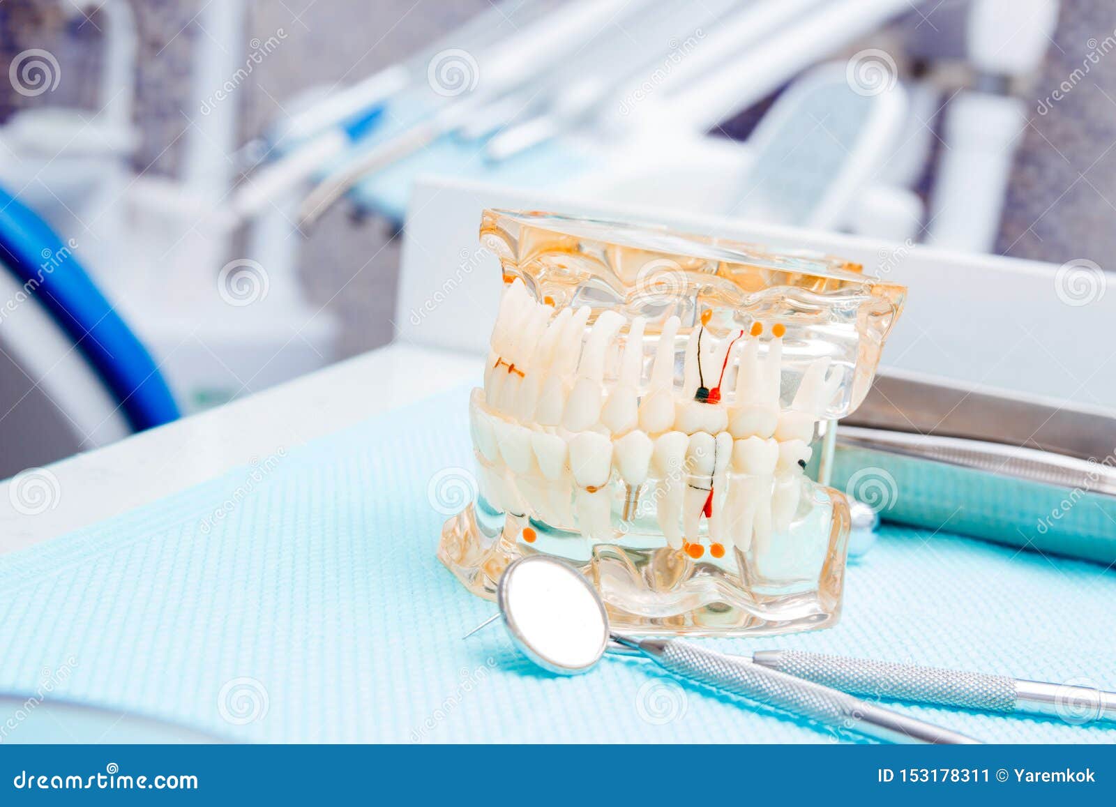 White Teeth Dummy and Instruments in Dental Office. Dentist Background