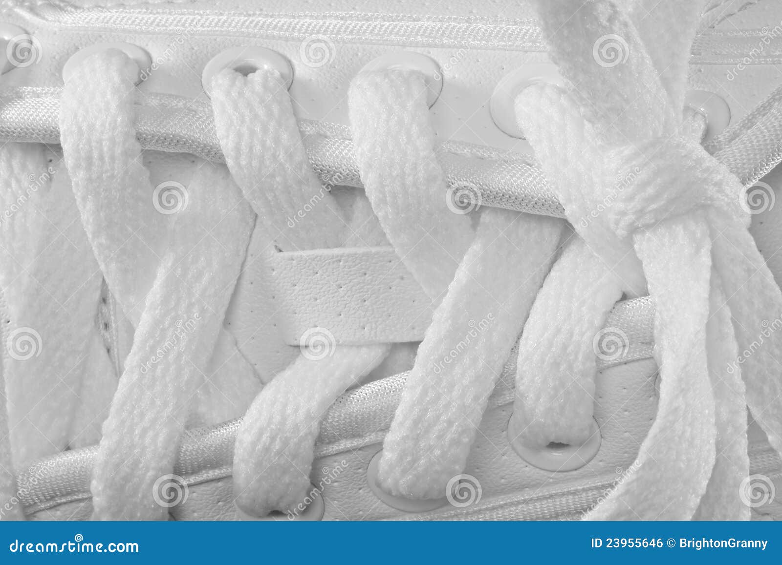 White shoe laces stock photo. Image of tennis, white 23955646