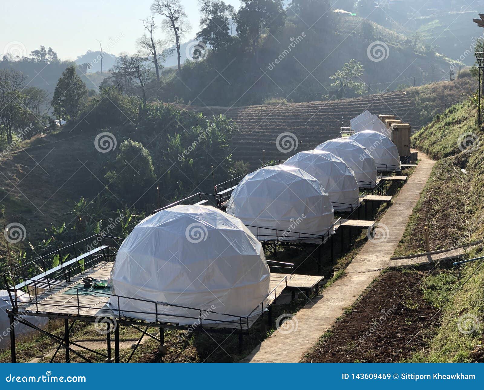 white tent for guests are hosted on wooden podium on camping