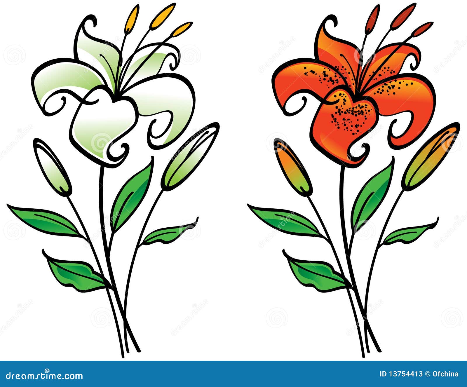 Tiger Lily Background RoyaltyFree Stock Photography CartoonDealer