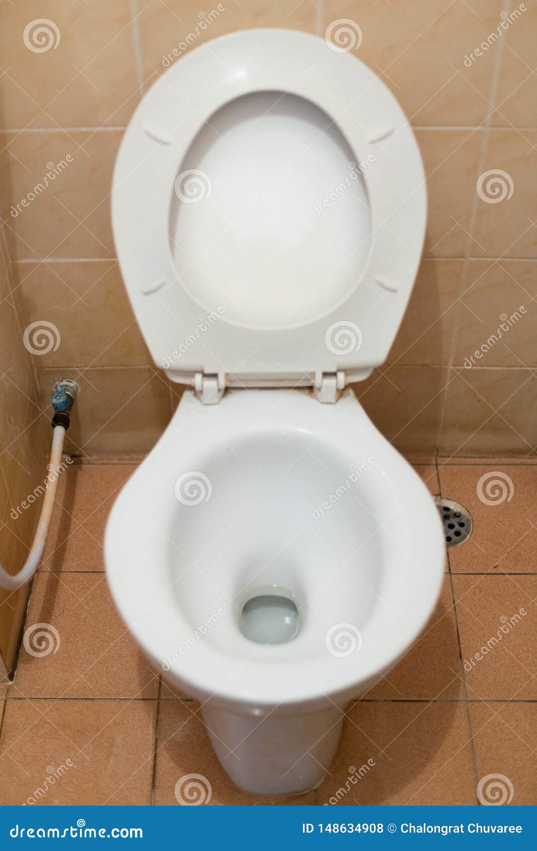 White toilet bowl stock photo. Image of domestic, open 148634908