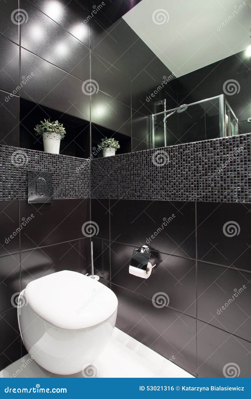 White toilet stock photo. Image of black, luxury, modern 53021316