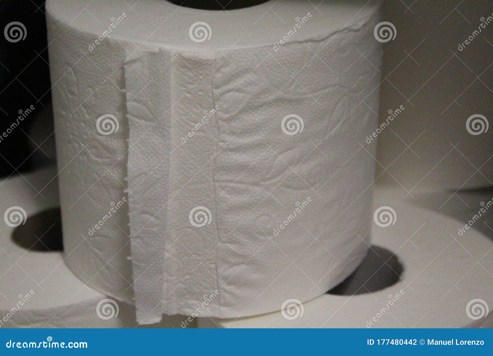 white toilet paper roll ecological cleaning cloth