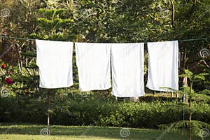 White Towels Drying On Washing Line Stock Photo Image Of Housework 