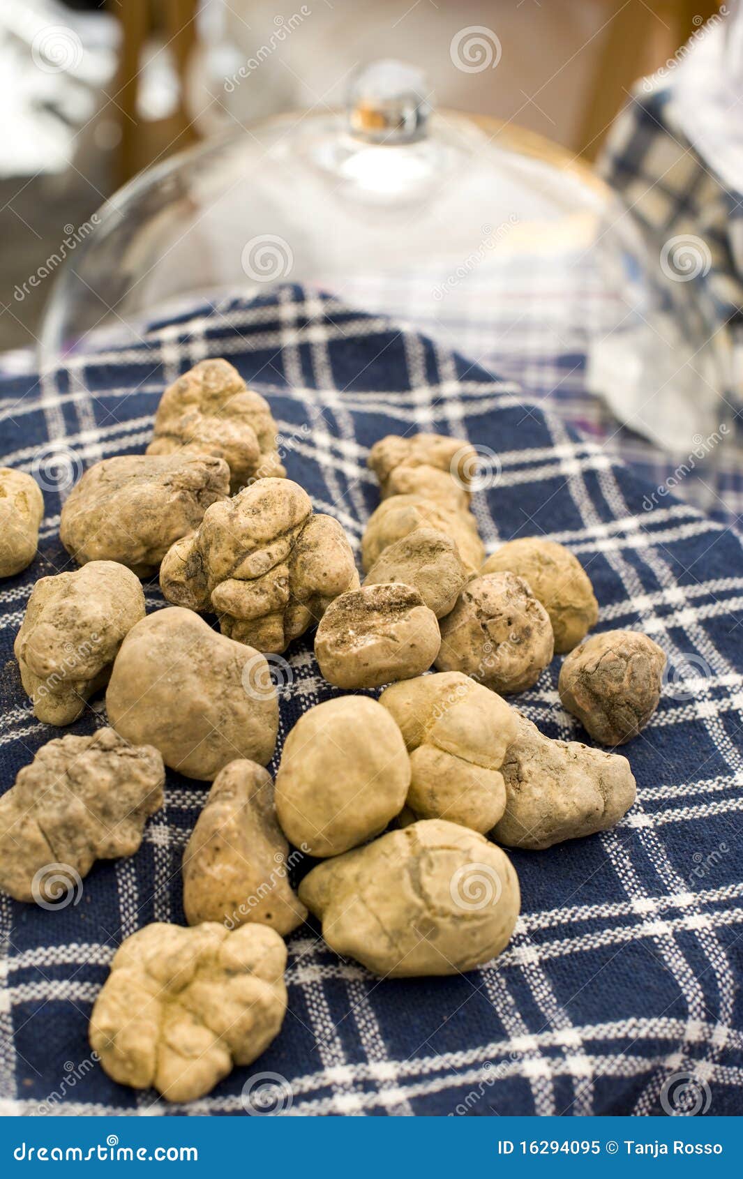 White truffles stock image. Image of italy, italian, prices 16294095