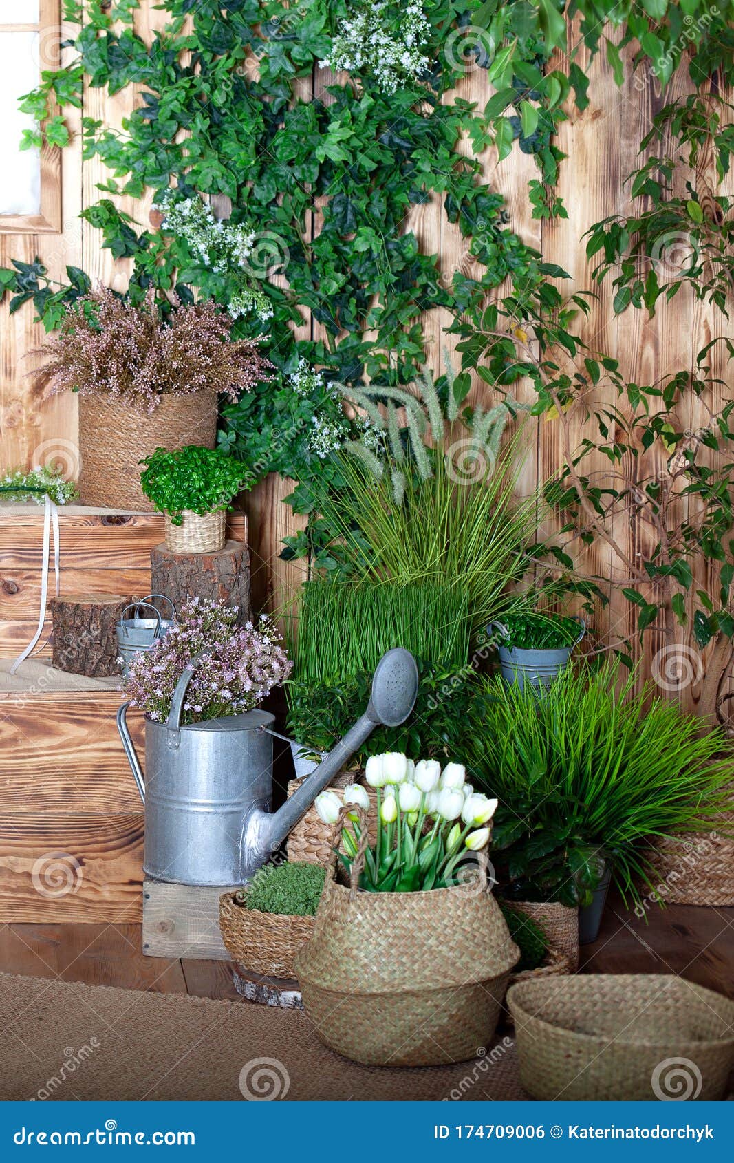 White Tulips Flowers In A Basket. Interior Of Spring Yard. Rustic Terrace. Veranda In Spring ... White Tulips Flowers In A Basket. Interior Of Spring Yard. Rustic Terrace. Veranda In Spring ... on Terrace Decoration With Plants
id=88449