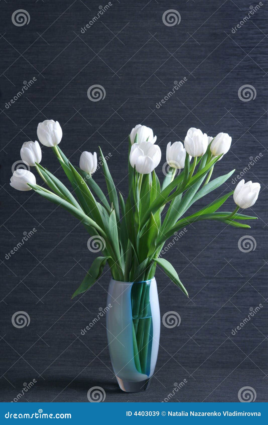 White tulips in vase stock image. Image of invitation 4403039