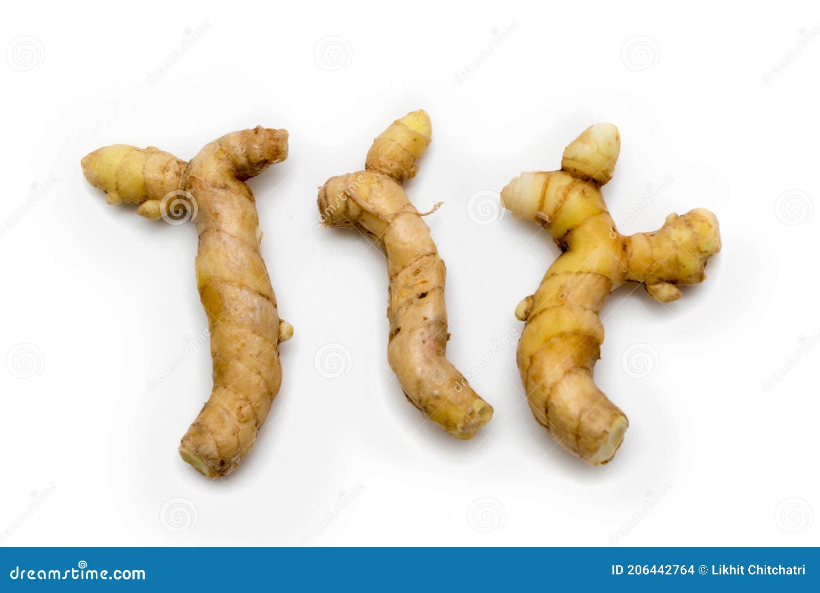 White Turmeric Isolated on White Stock Photo Image of orange, flavor