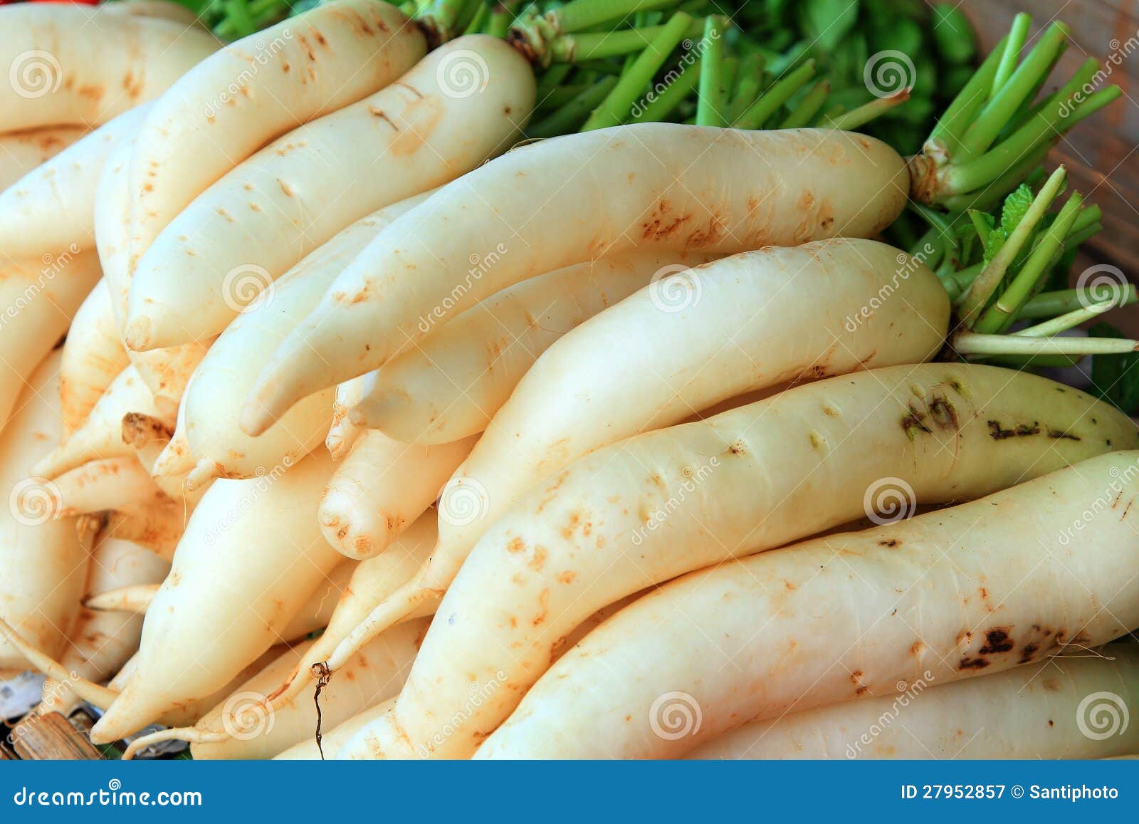 White turnips stock image. Image of colored, multi, farmers 27952857