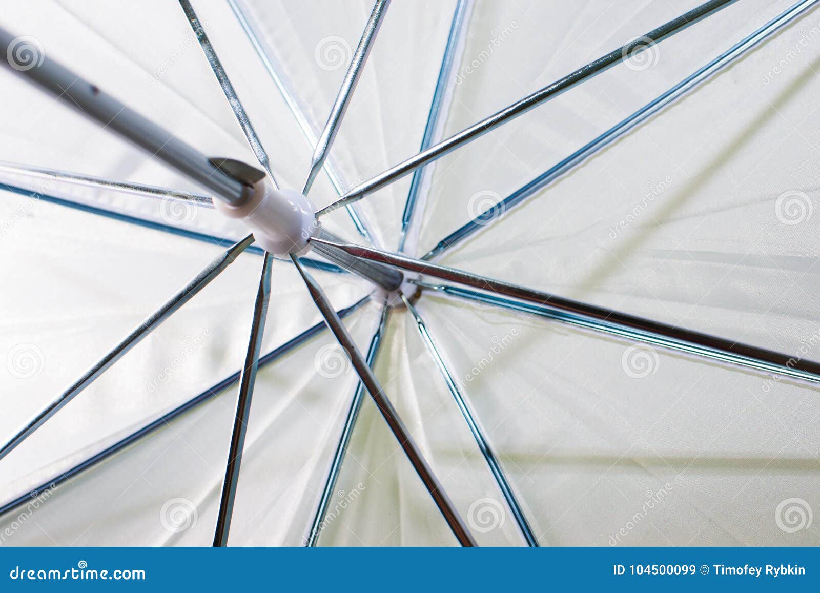 The White Umbrella of the Photographer from the Inside Stock Image