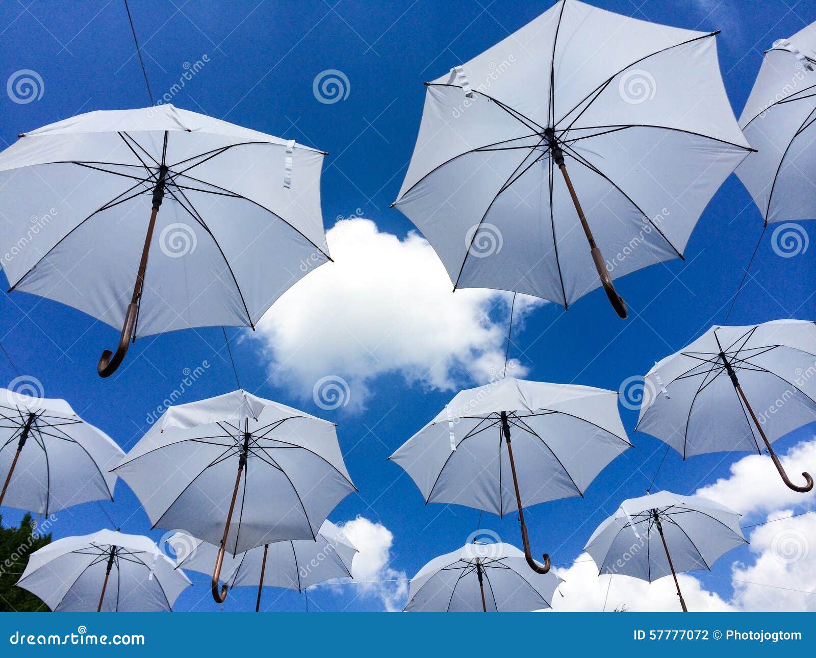 19,965 White Umbrellas Stock Photos Free & RoyaltyFree Stock Photos