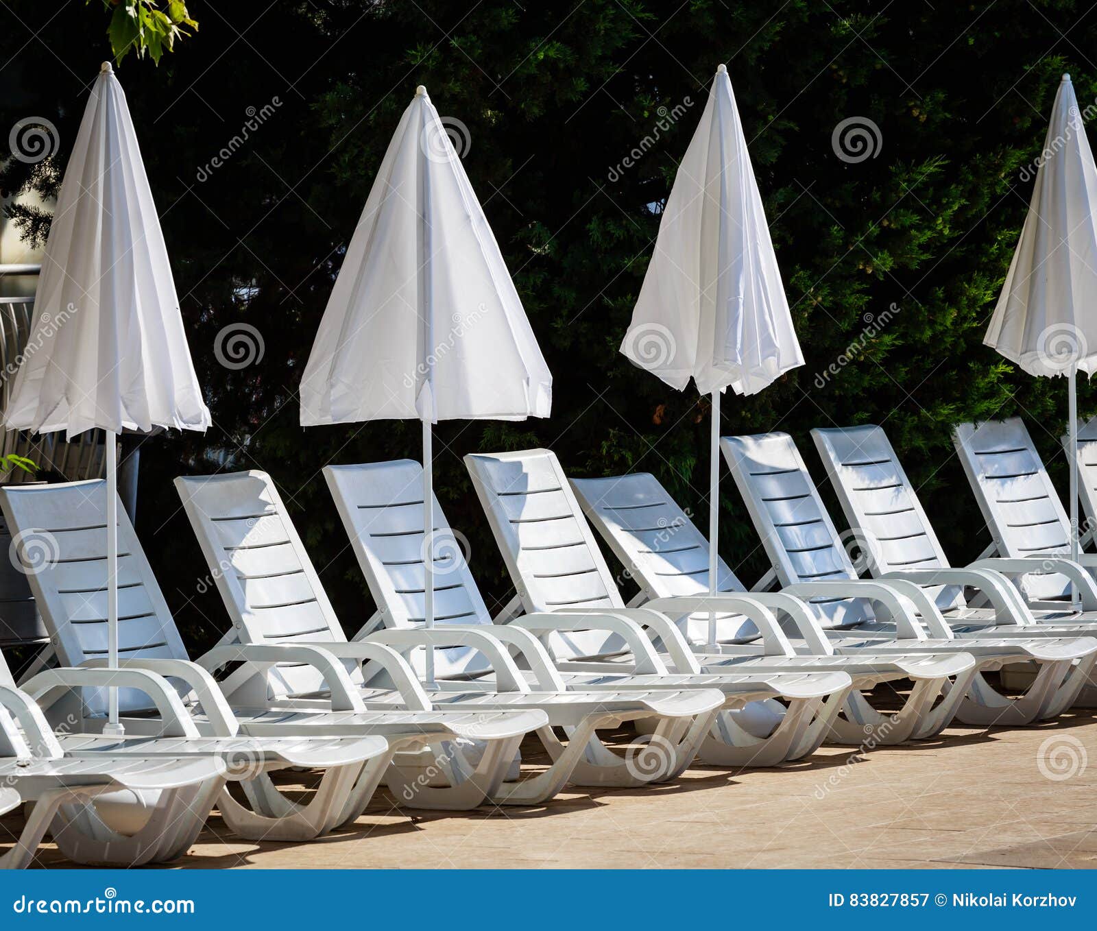 White Umbrellas and Deck Chairs on the Beach Stock Image Image of