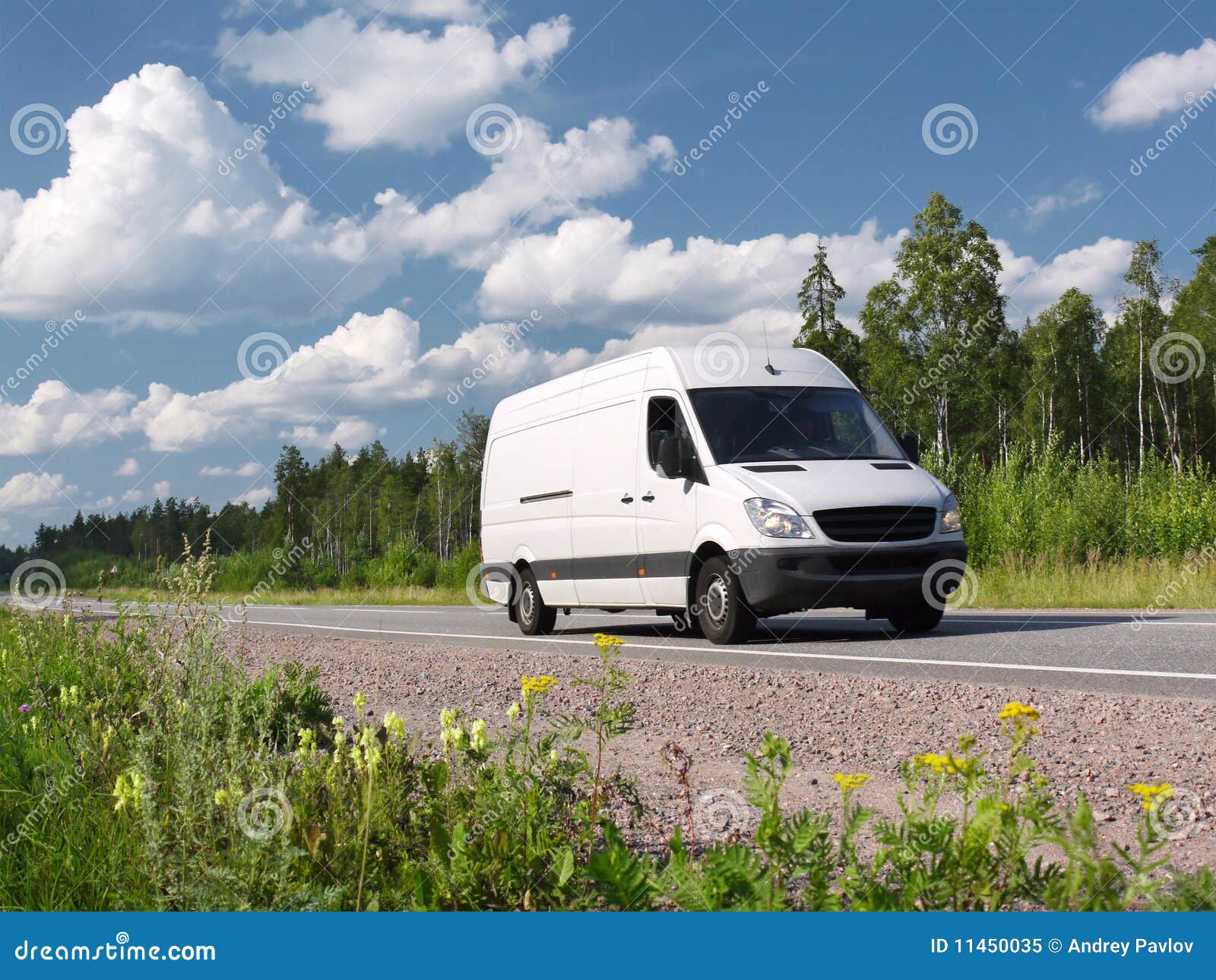 white van on summer rural highway