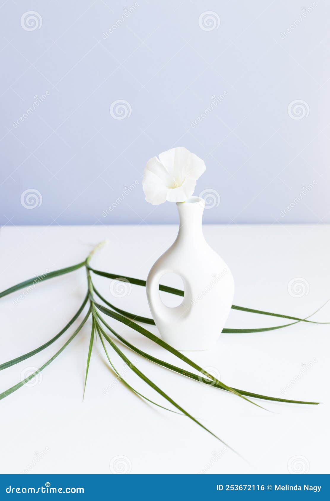 White Vase and White Flower on Abstract Light Blue Background Stock