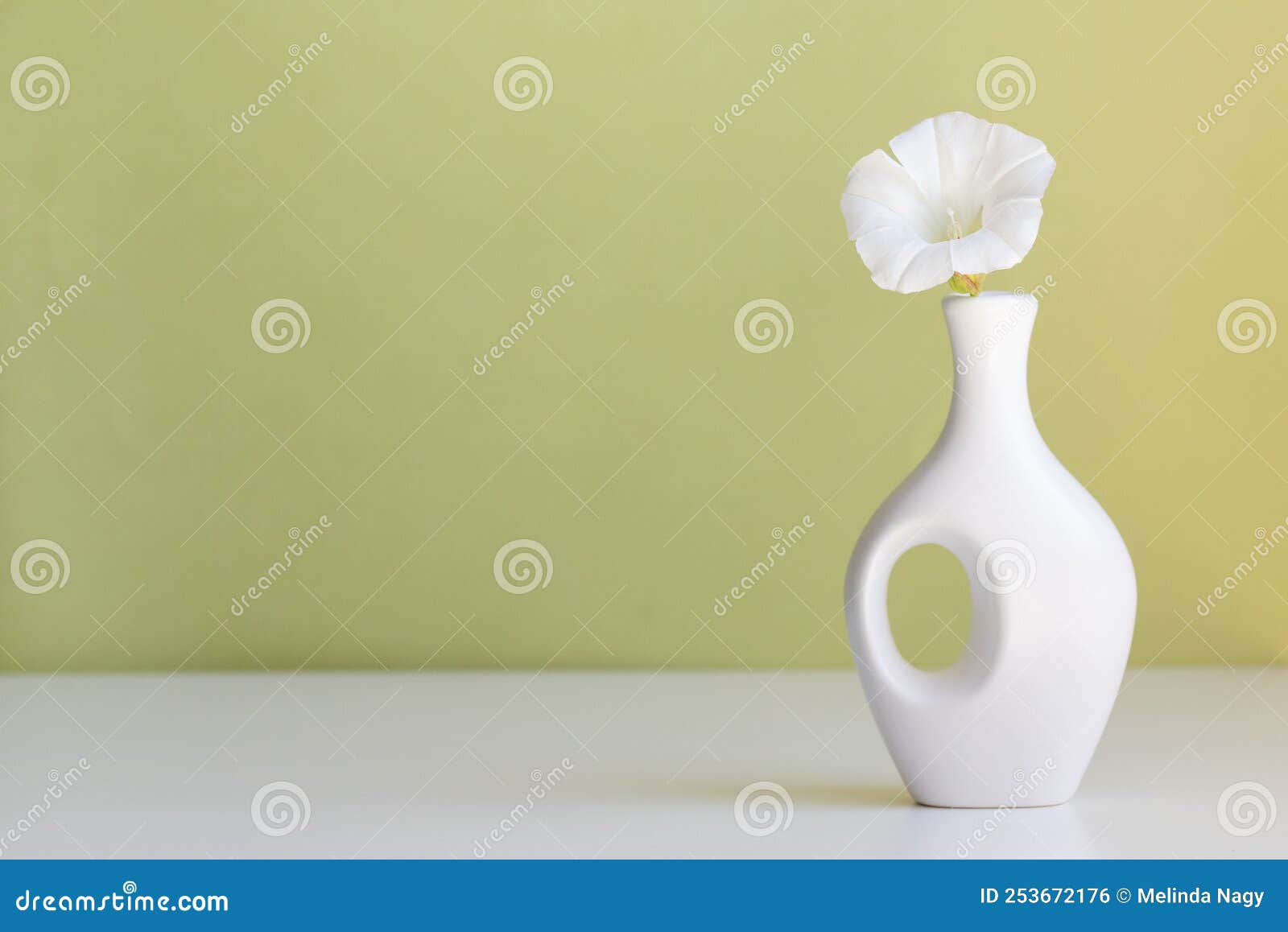 White Vase and White Flower on Abstract Light Green Background Stock