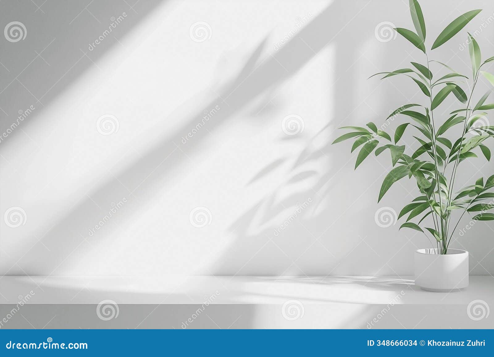 white interior with plant in round vase and blank space for product presentation