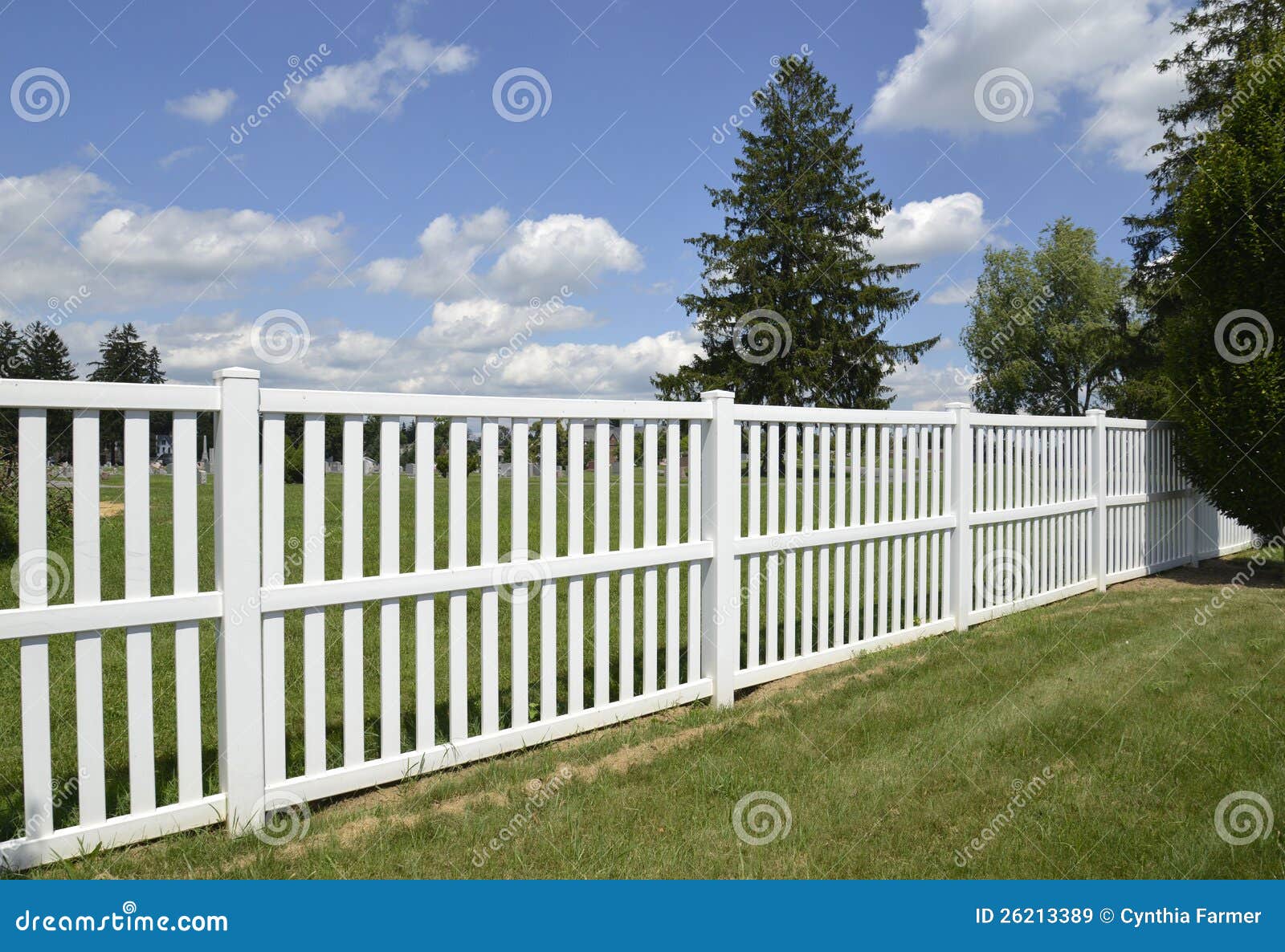 white vinyl fence by green lawn