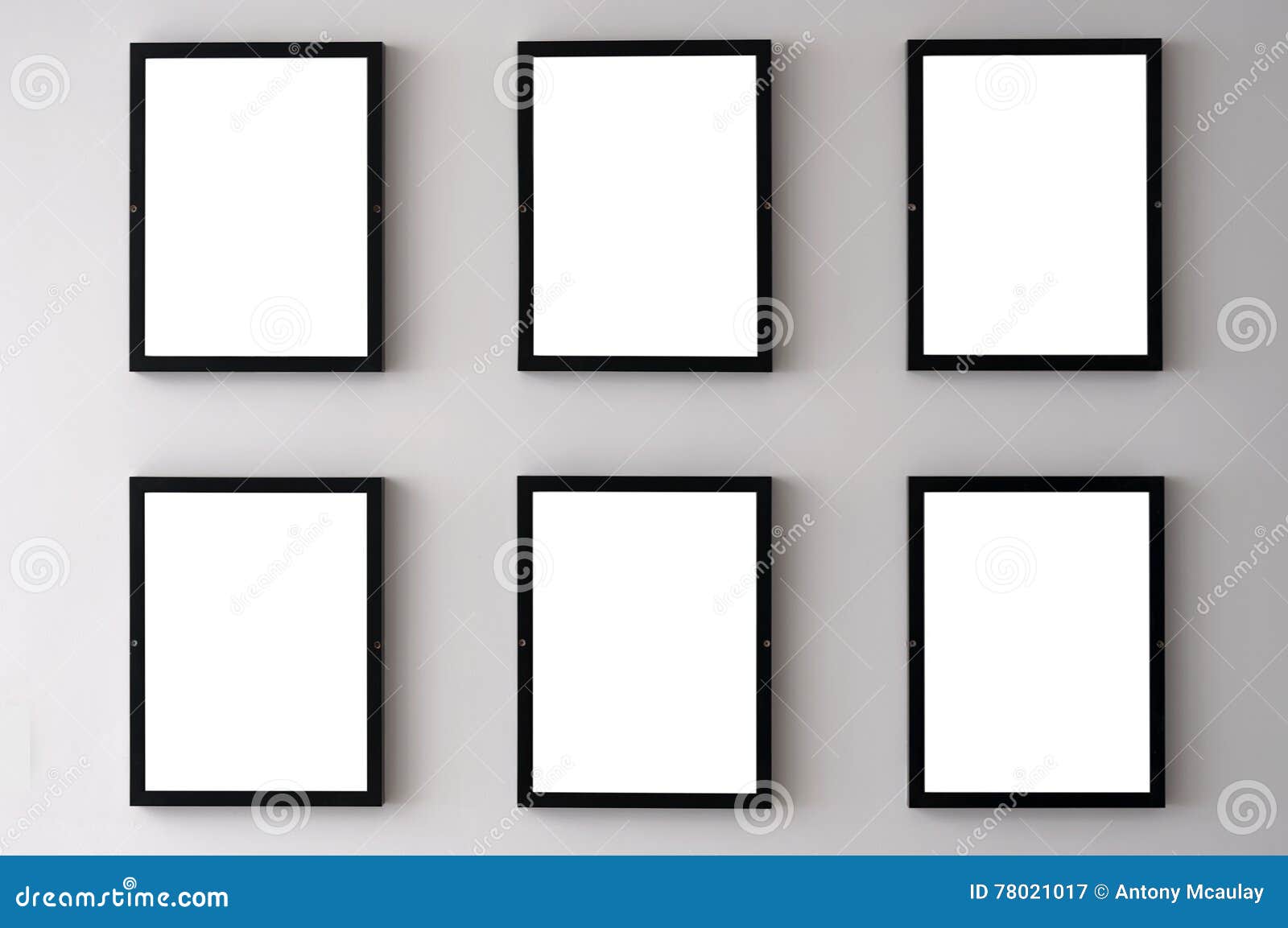 White Wall Picture Frames stock image. Image of border - 78021017