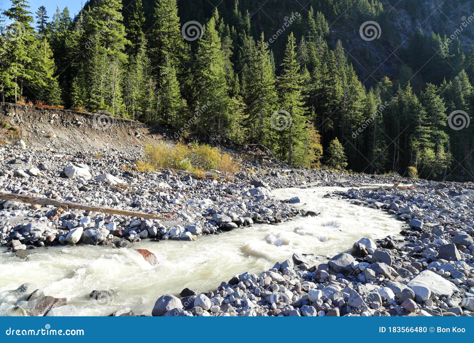 White Water Going Down on White River Stock Photo Image of park