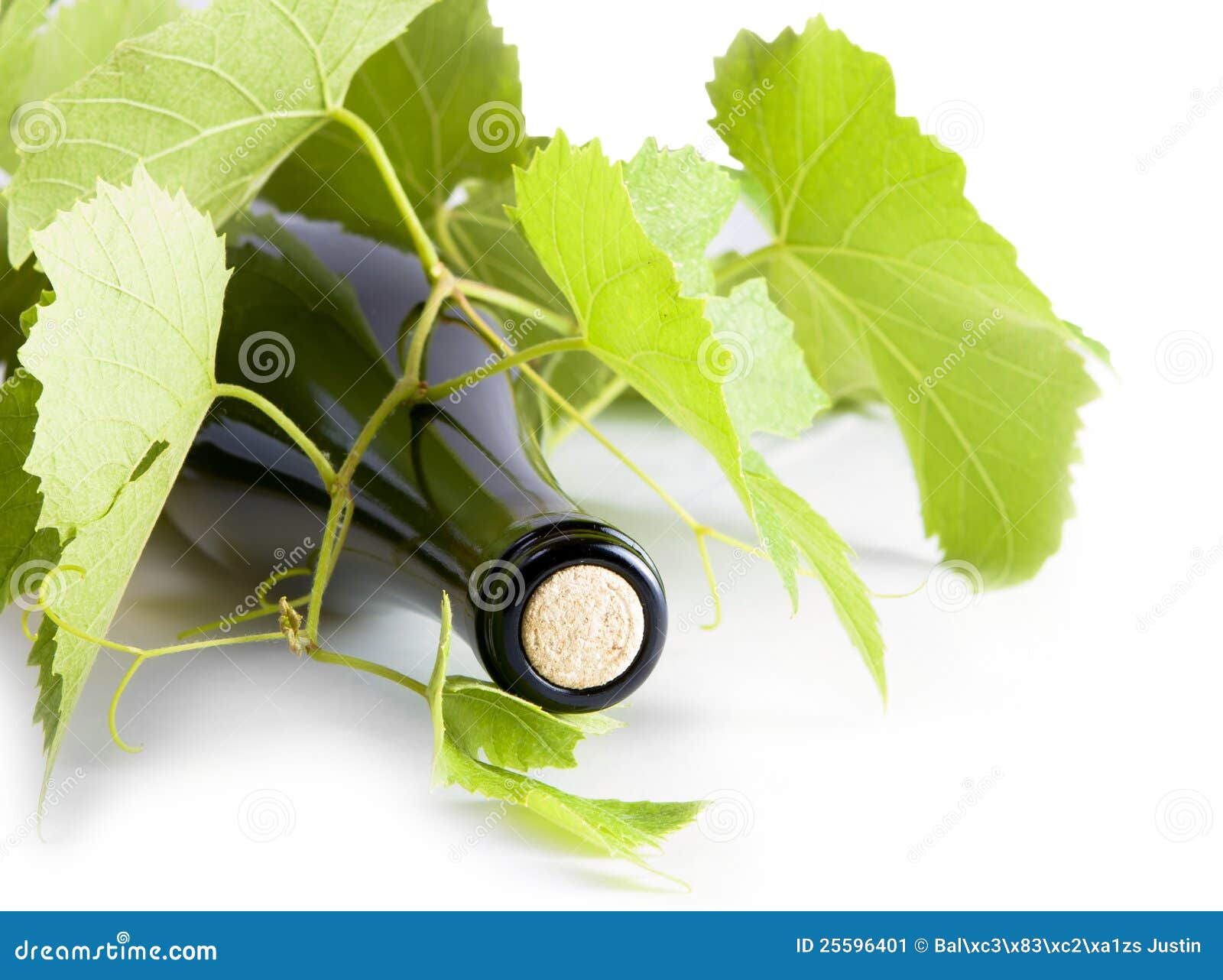 White Wine, Bottle of Grape Leaves. Stock Image Image of leaves, leaf