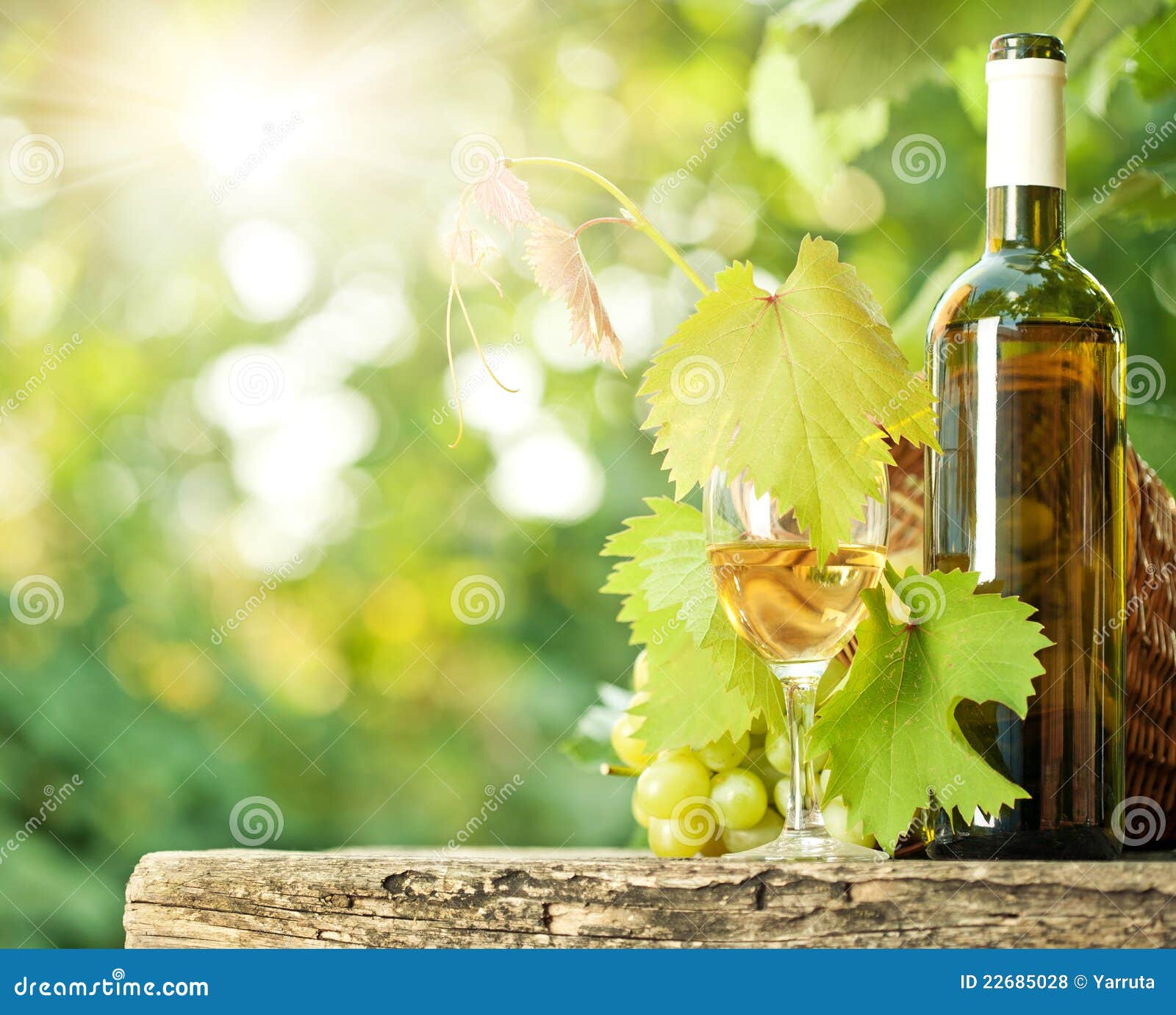 White Wine Bottle, Vine, Glass and Bunch of Grapes Stock Photo Image