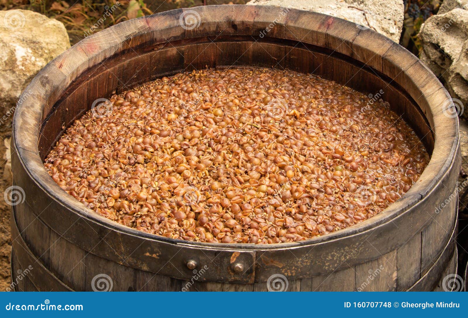 White Wine Fermentation in a Wooden Vessel Stock Photo Image of september, process 160707748