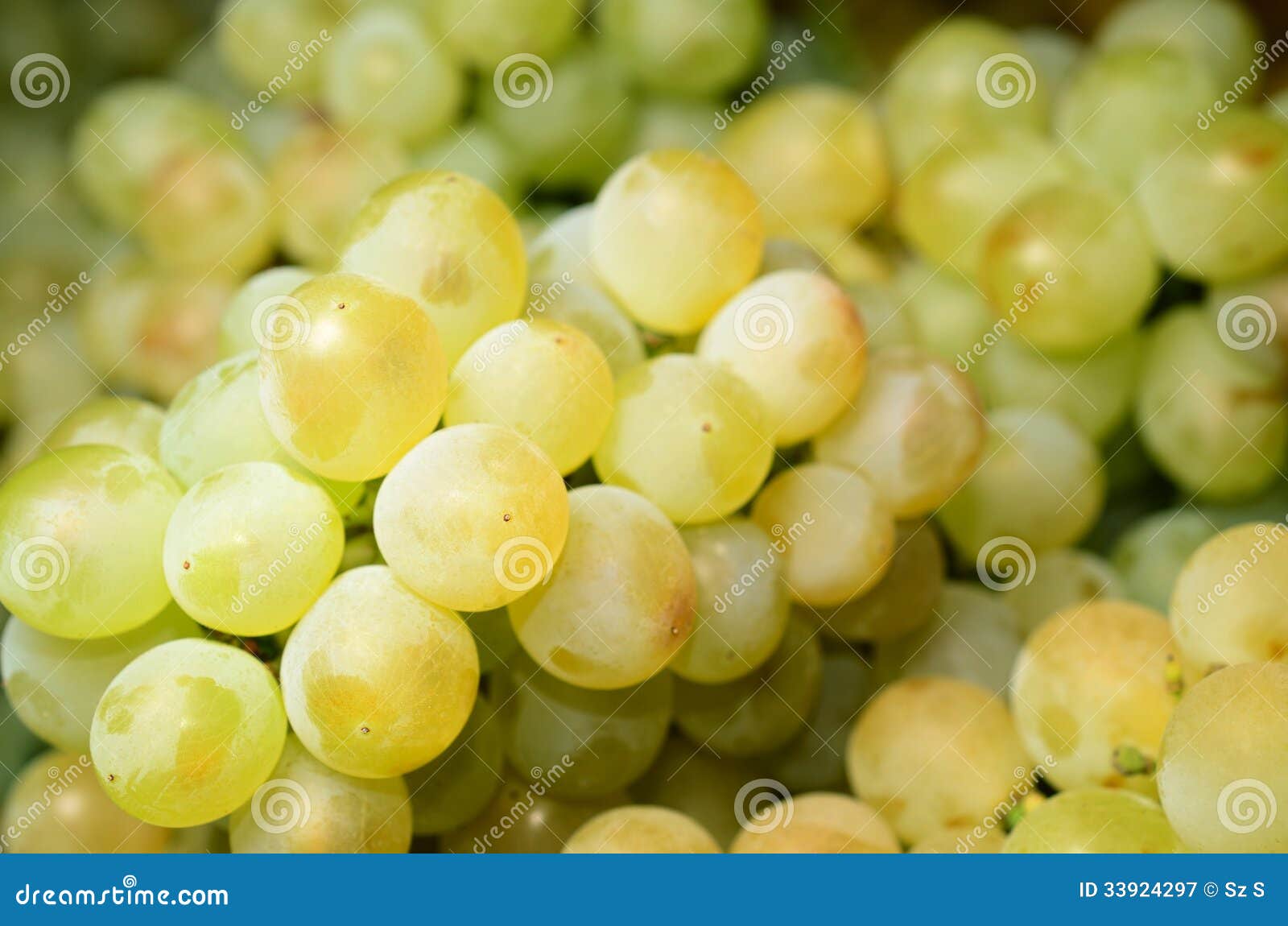 White wine grapes stock image. Image of purity, fresh 33924297