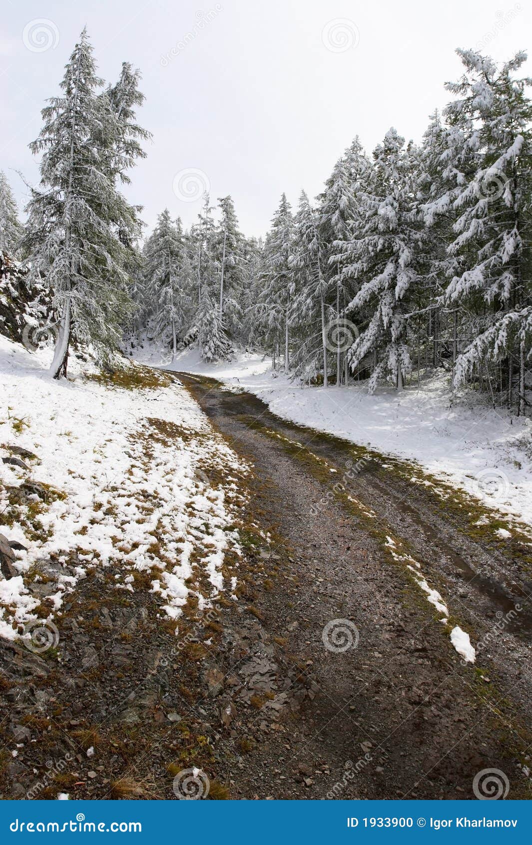 White wood, road and snow. stock photo. Image of cold 1933900