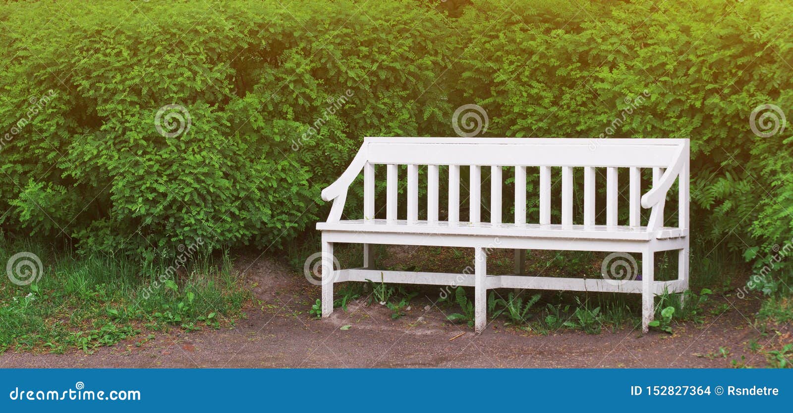 White Wooden Bench in a City Park in Spring Time and Trees on Background.  Empty Green Garden Chair at Summer Grass Stock Photo - Image of nature,  empty: 152827364