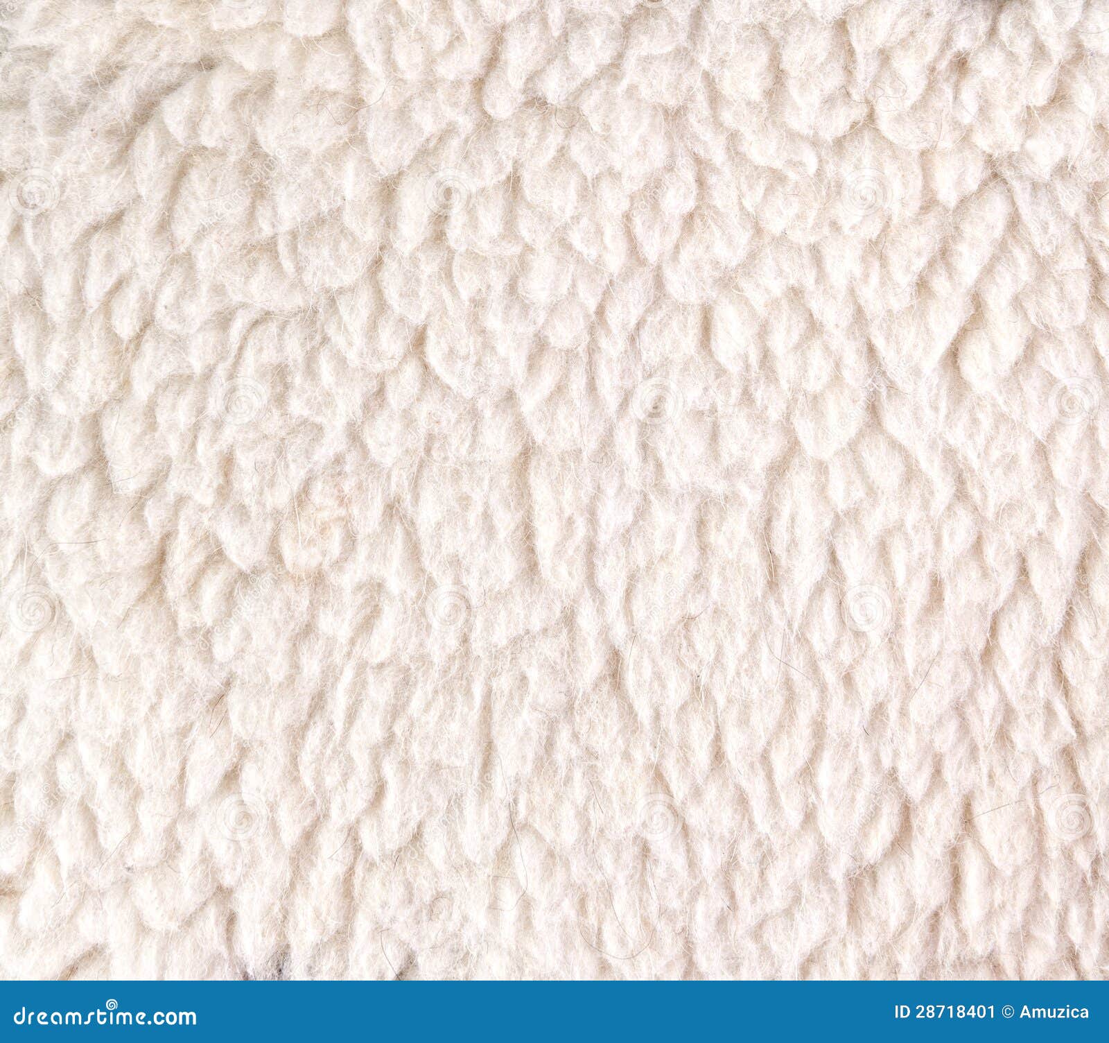 White Woolly Sheep Fleece For Background Stock Image - Image: 28718401