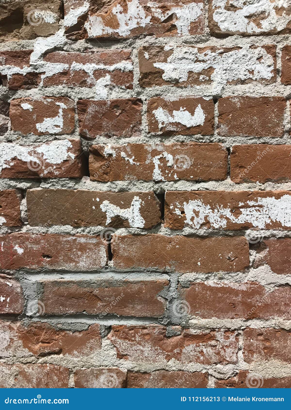 White and Red Warn Brick Wall Stock Image Image of mortar, white