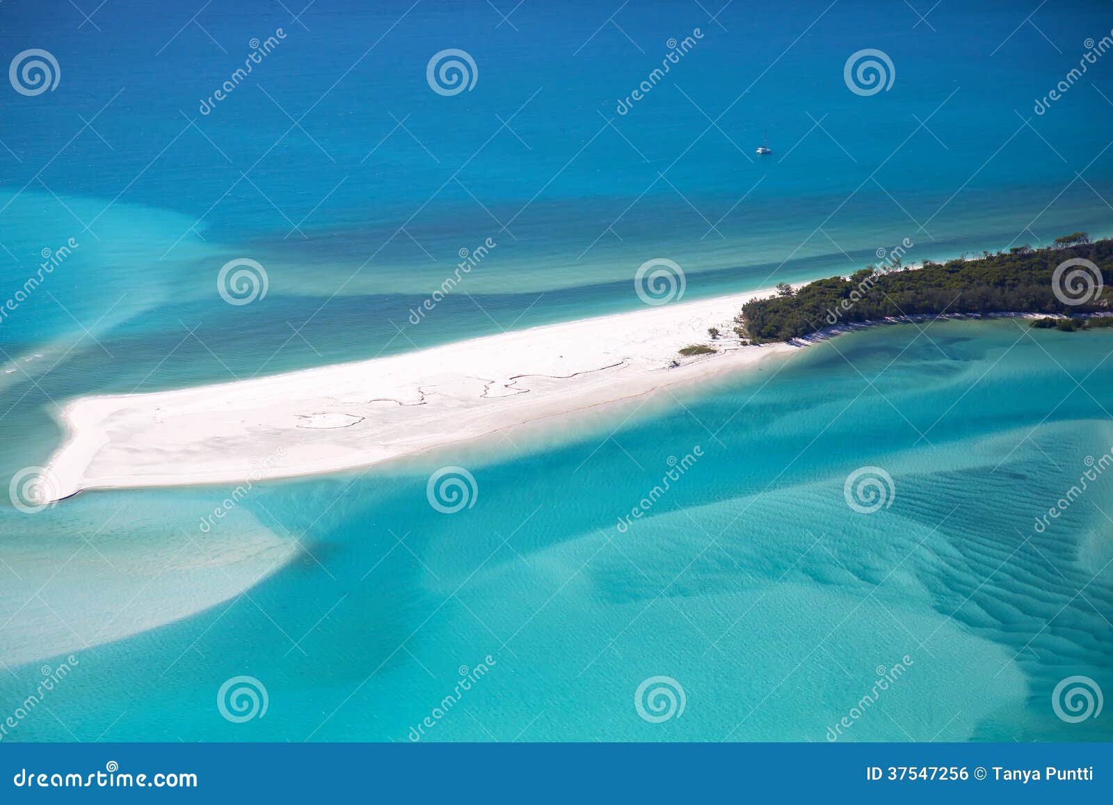 whitehaven beach whitsundays