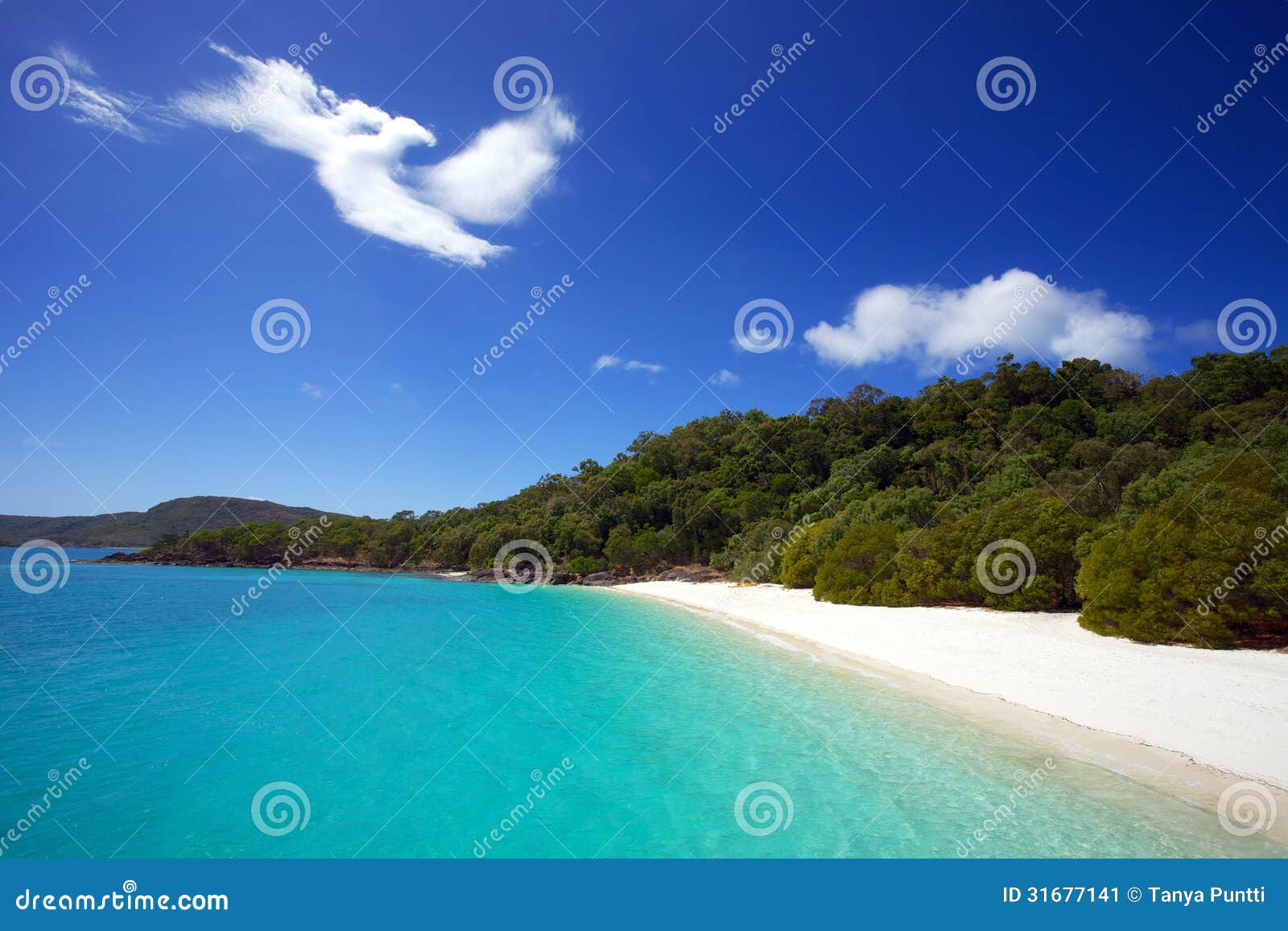 whitehaven beach in whitsundays