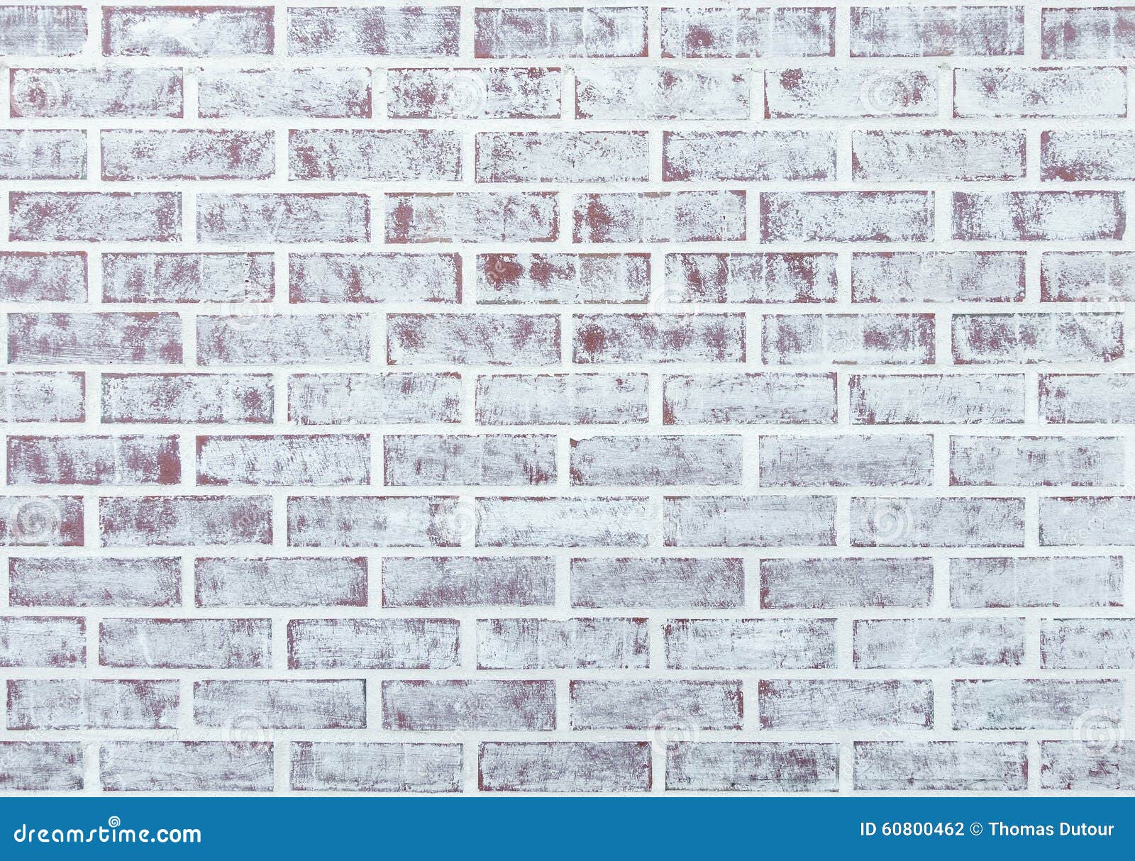 Whitewashed Brick Wall Stock Photo Image 60800462