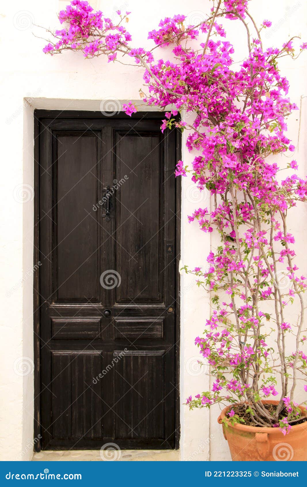 Whitewashed Facade with Old Wooden Door and Bougainvillea in Altea ...