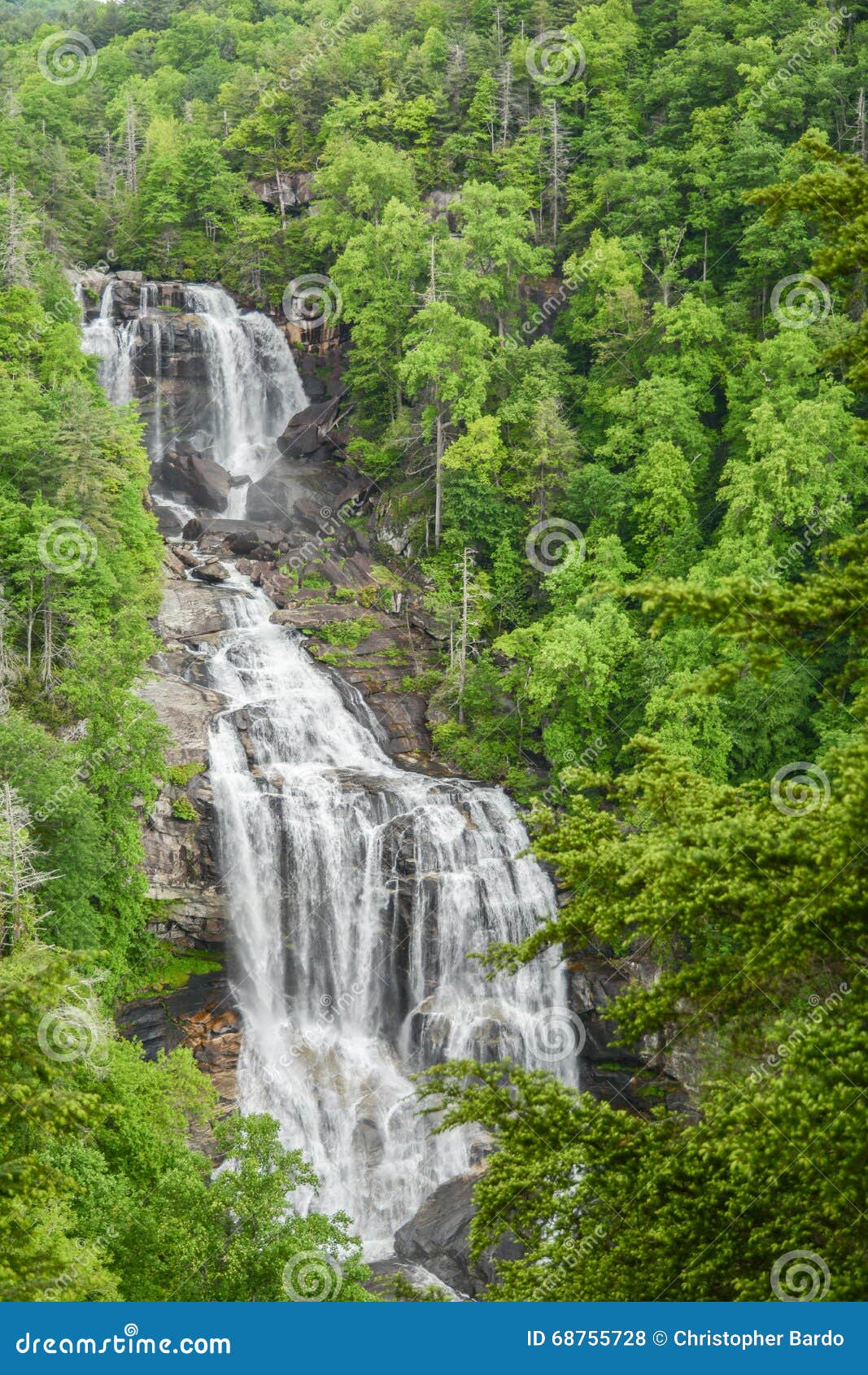 Whitewater Falls stock photo. Image of trees, falls, river - 68755728