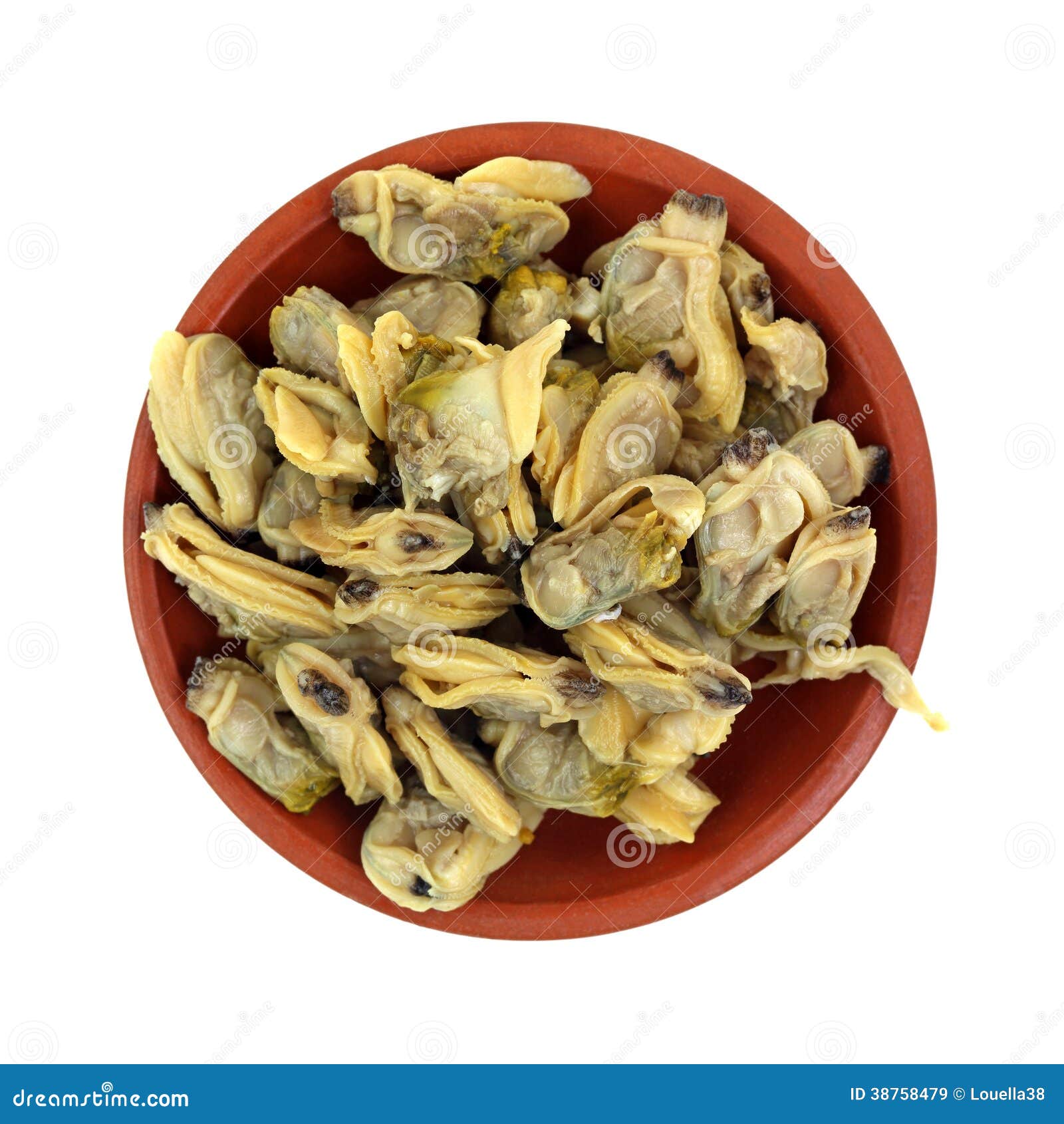 Whole Baby Clams in Dish stock image. Image of edible 38758479