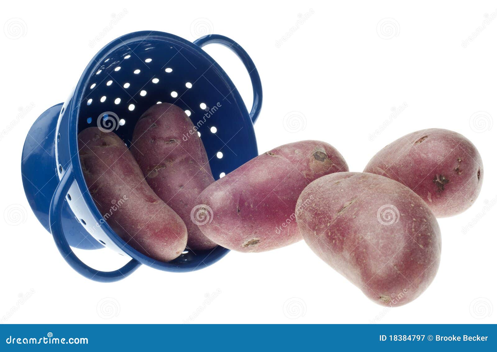 Whole Baby Red Potato in Blue Colander Stock Image Image of colander