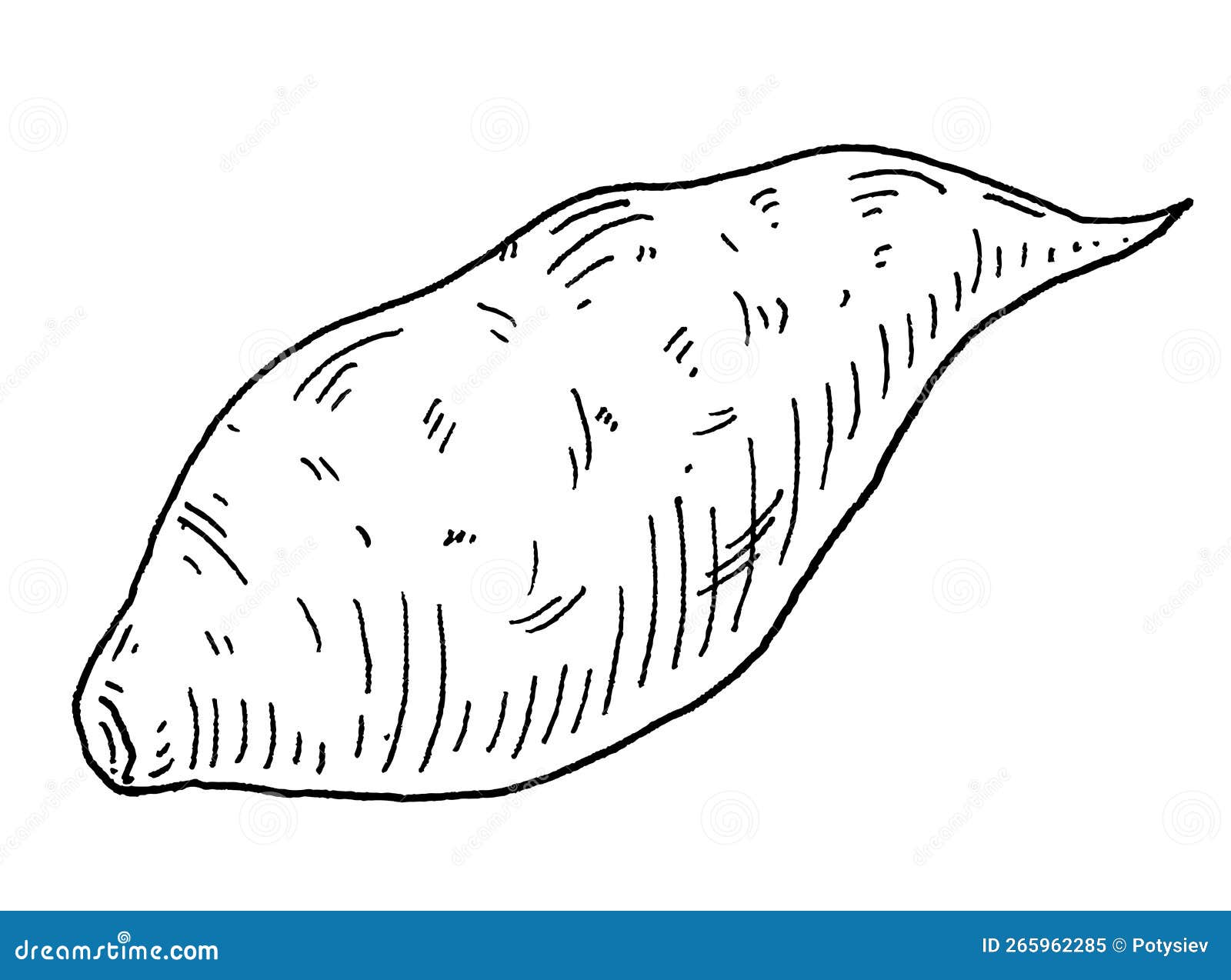 Whole Batatas Vintage Engraving Vector Black Illustration Isolated On whole-batatas-vintage-engraving-vector-black-illustration-isolated-on