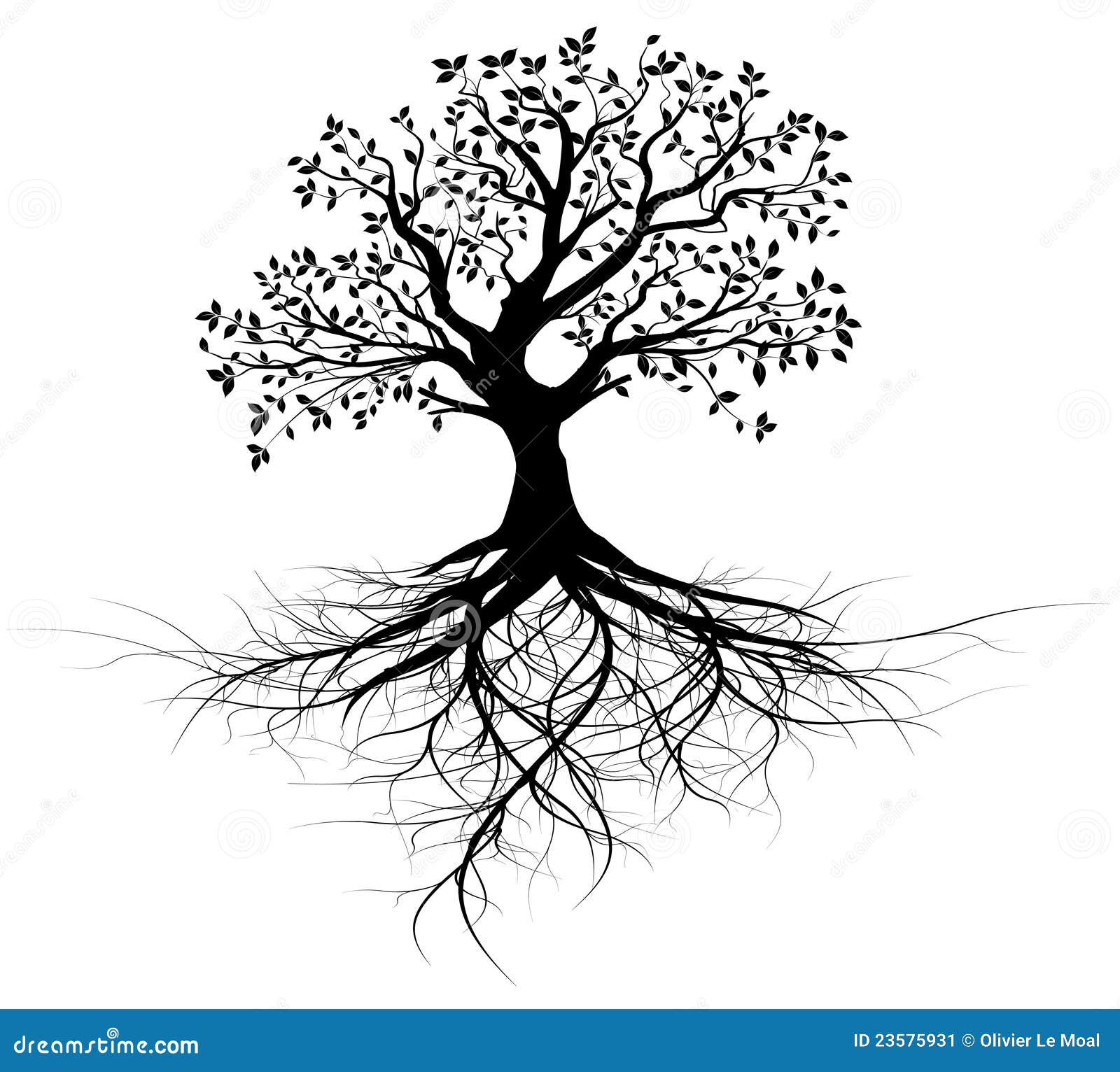 whole black tree with roots - 