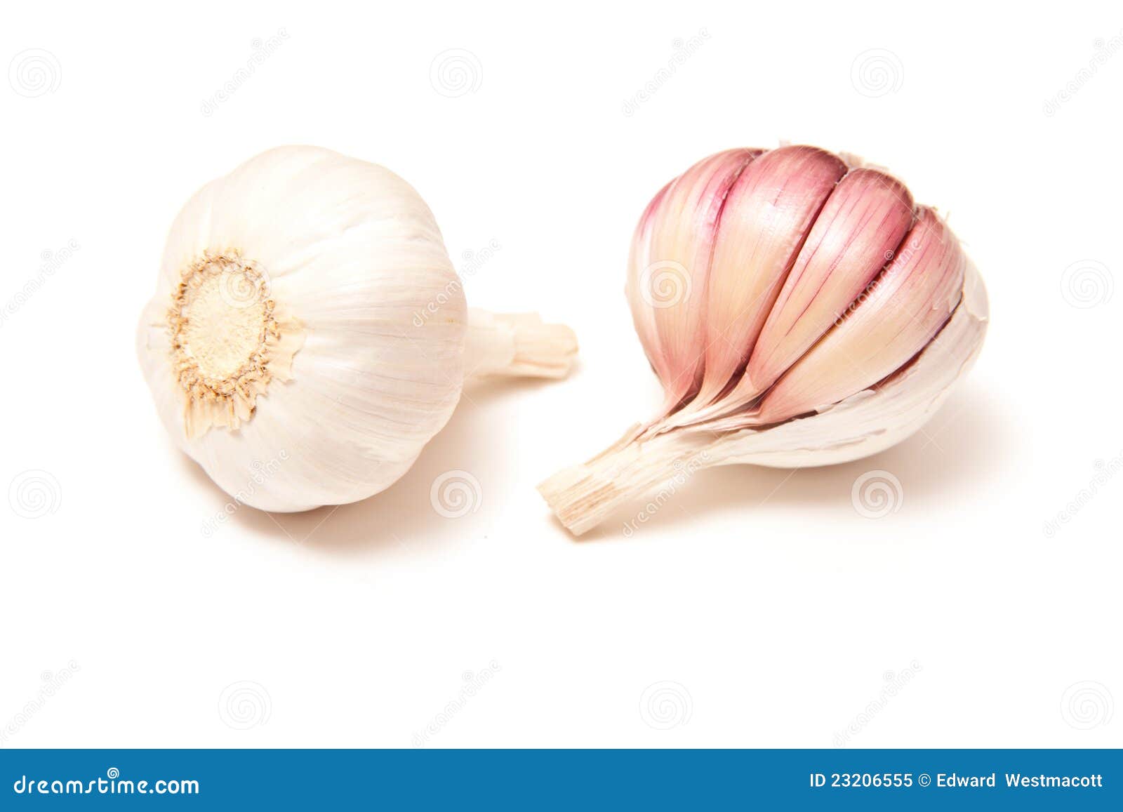 Whole Bulbs of Fresh Garlic Stock Image Image of cloves, tasty 23206555