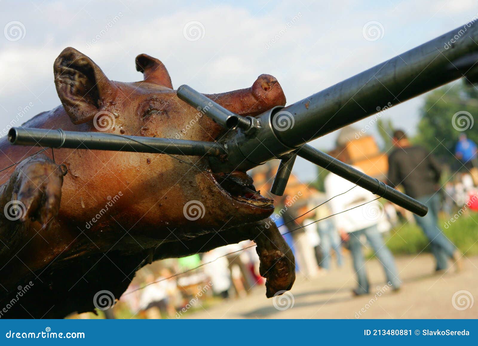 Whole Carcass of a Pig Roasting on the Grill Stock Image Image of