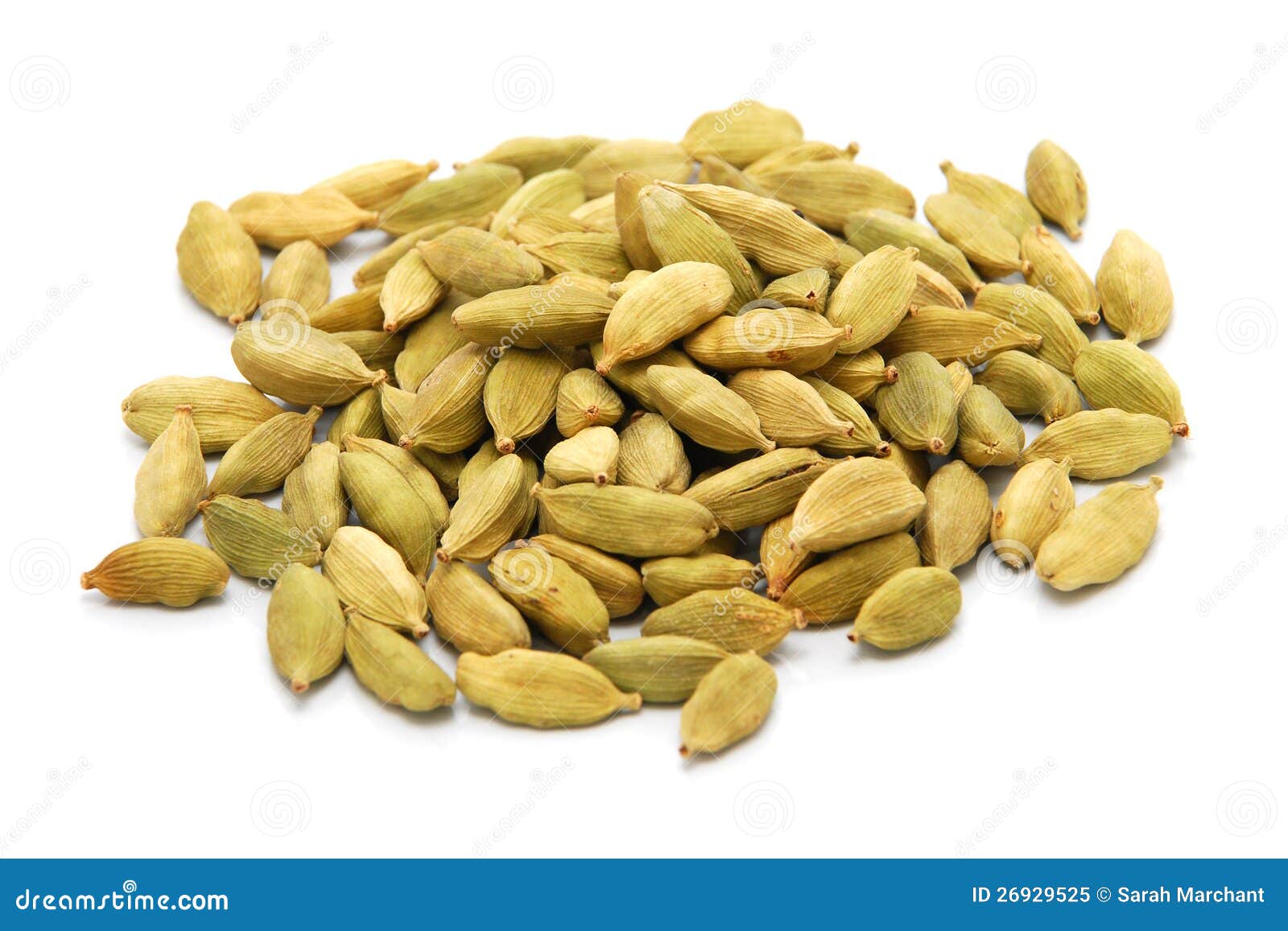 Whole cardamom pods stock image. Image of isolated, aromatic 26929525