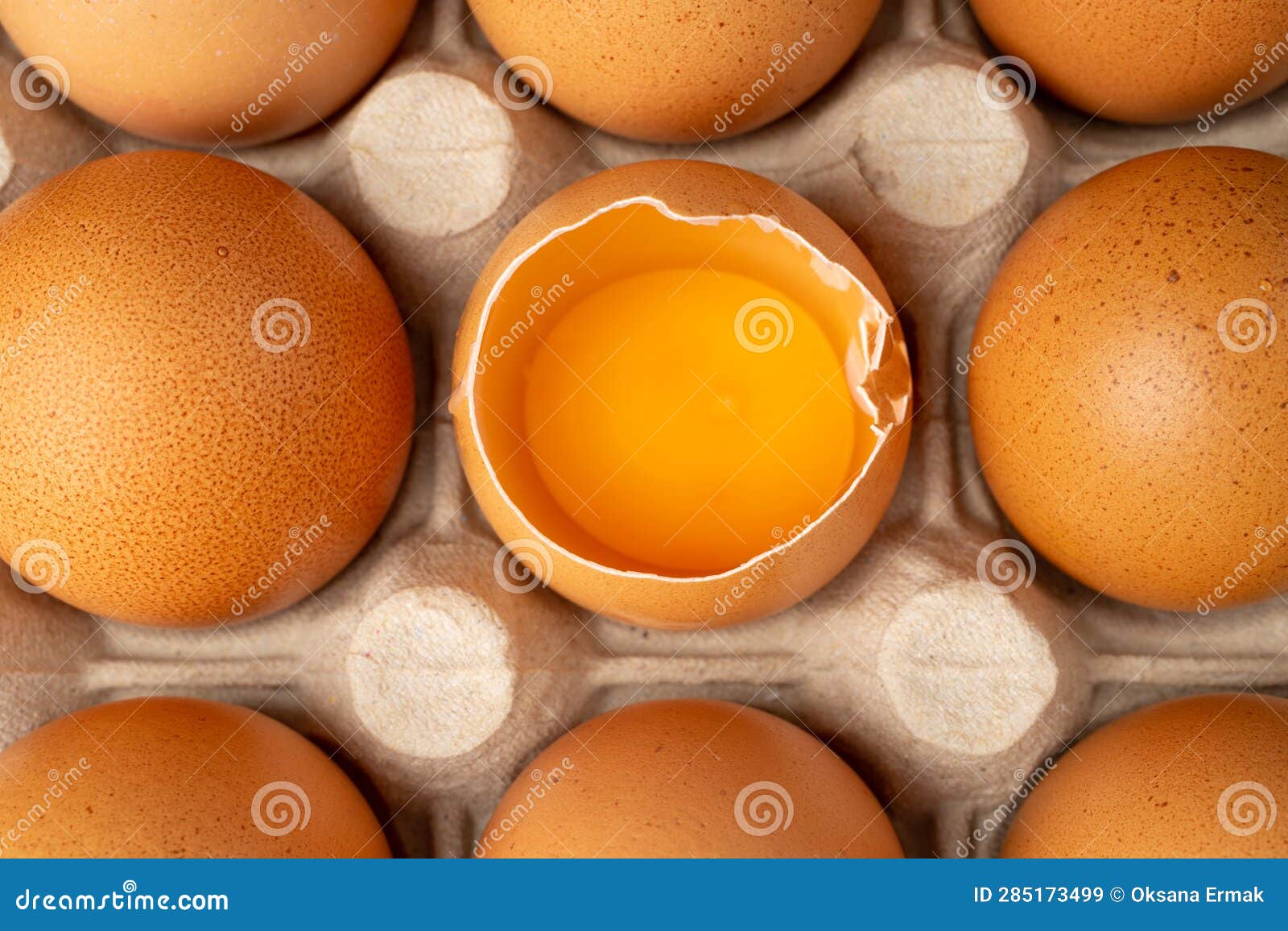 Whole Chicken Eggs and One Broken Closeup, Broken Egg in Carton Pack