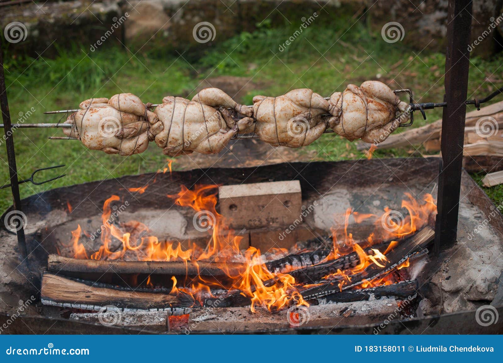 Whole Chicken on an Open Fire, on a Spit Stock Image Image of closeup